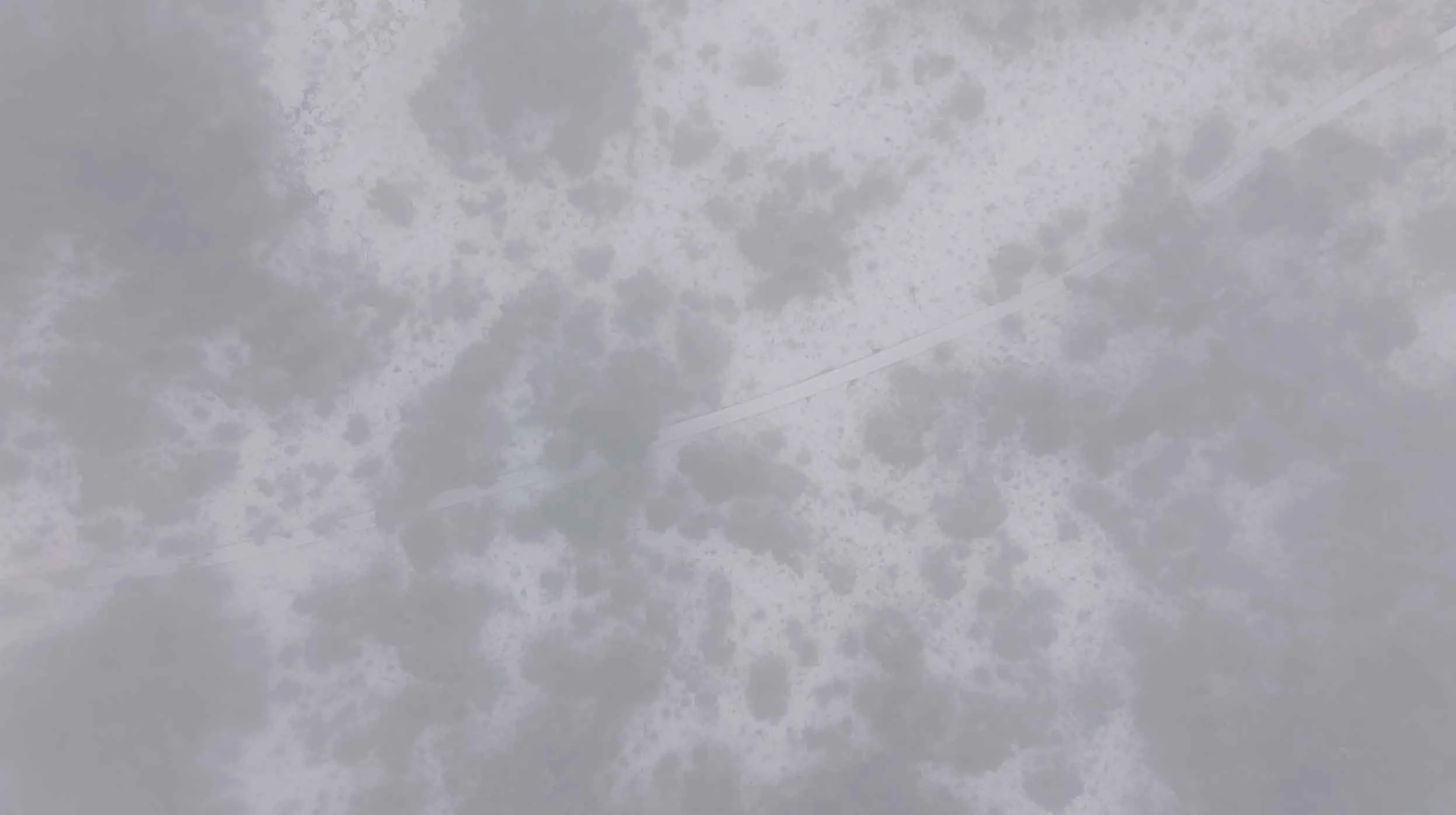 Natuurlijke omgeving van Landgoed Twickel in branded fotografie-serie