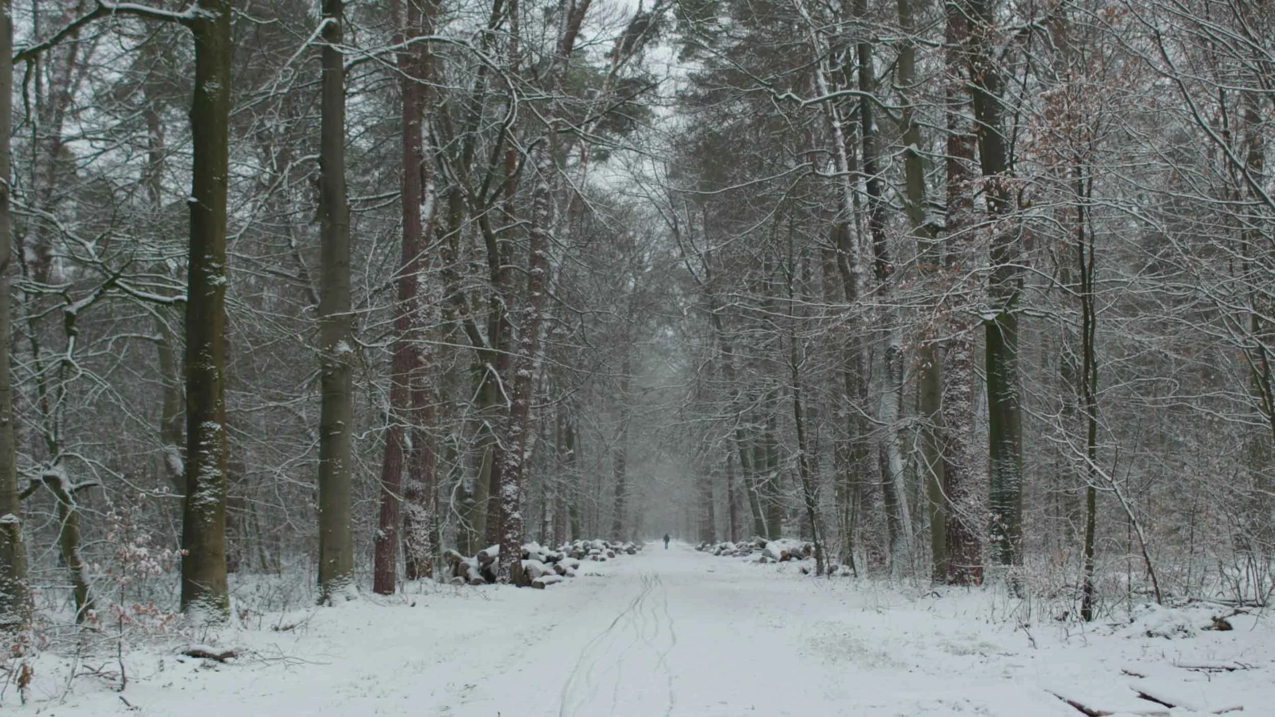 Landschap van Twickel als inspiratie voor fotografen in webserie