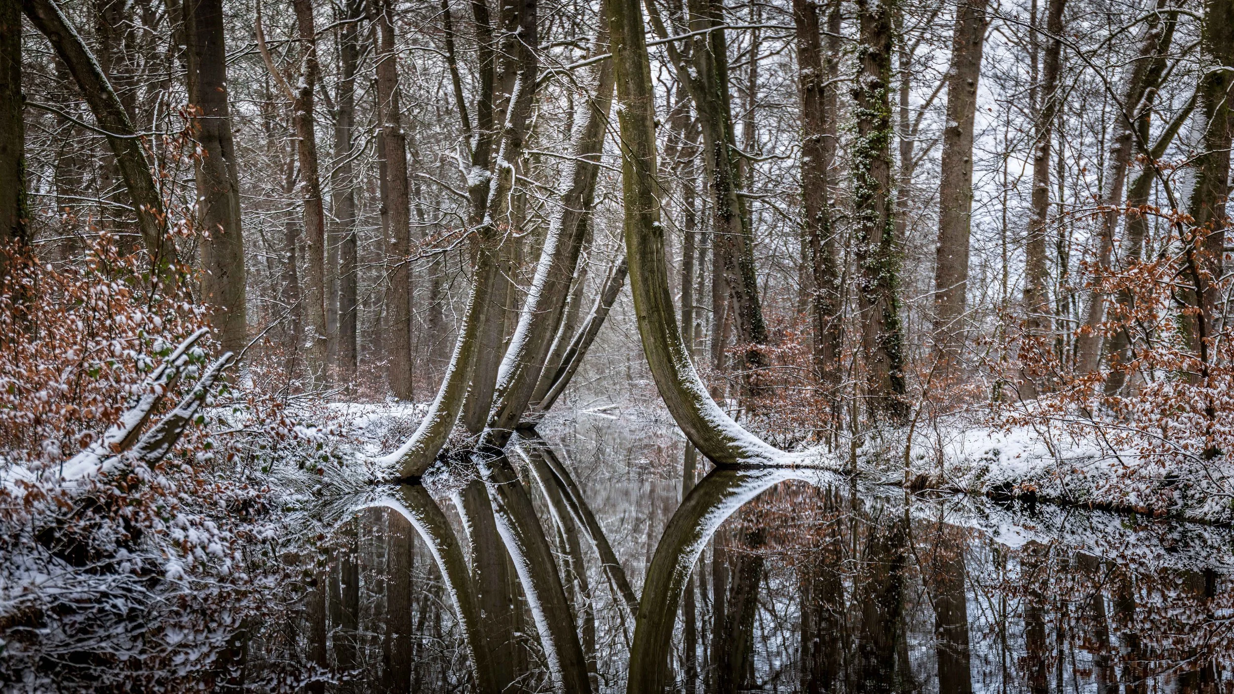  Pinned Twickel | Web serie 