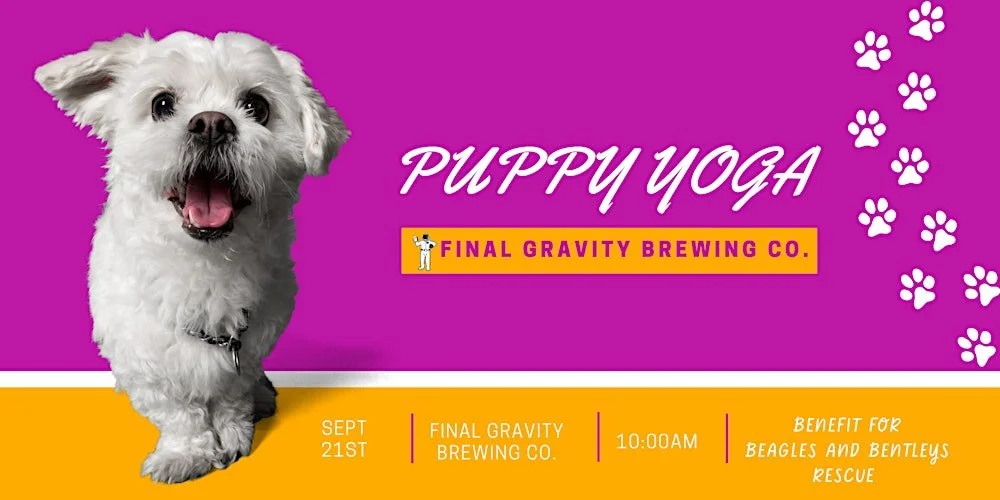Puppy Yoga at Final Gravity