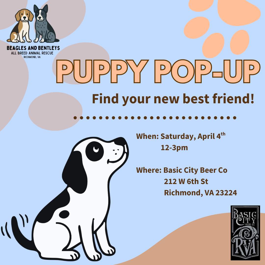 Puppy Pop Up