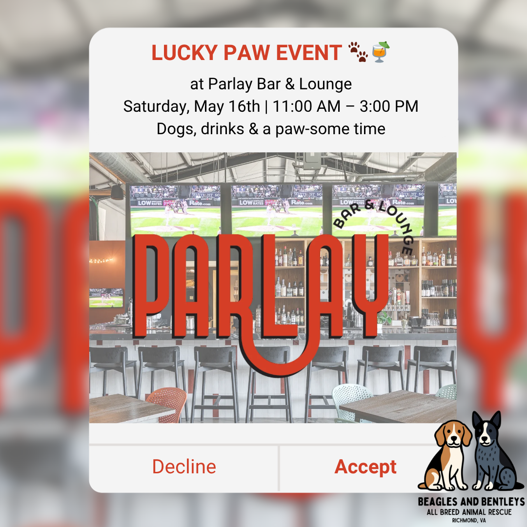 Lucky Paw Event