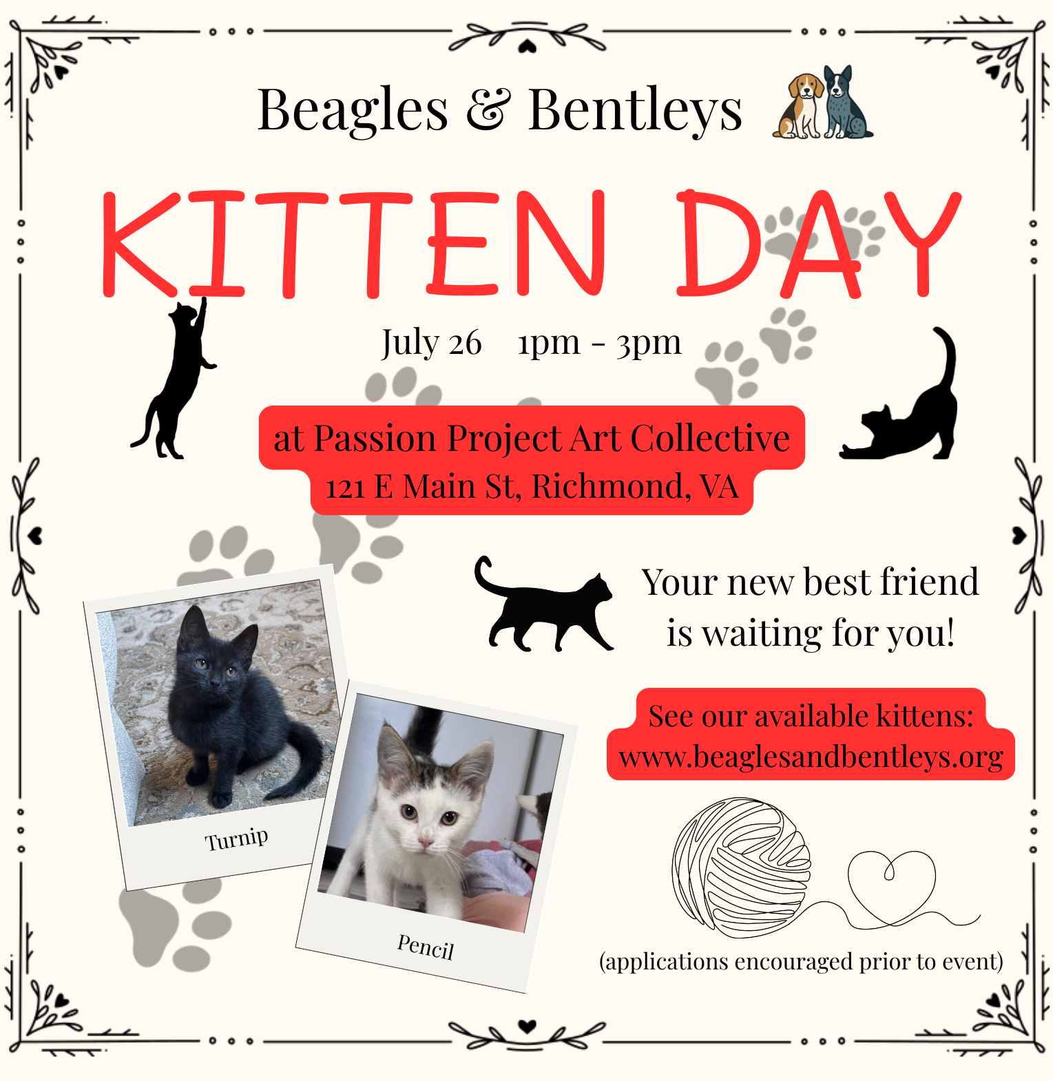 B&B Kitten Day!