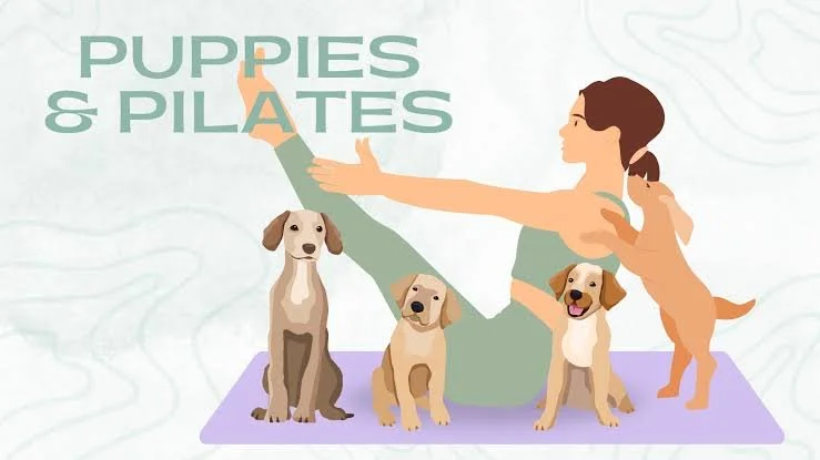Puppies and Pilates