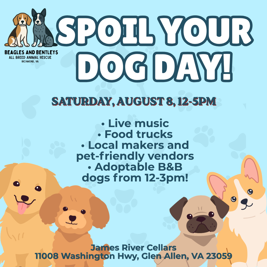 Spoil Your Dog Day Festival