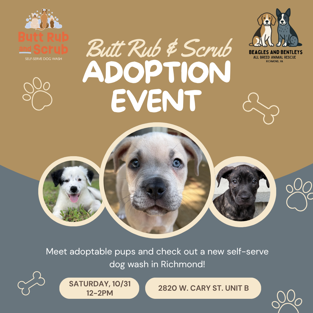 Butt Rub & Scrub Adoption Event