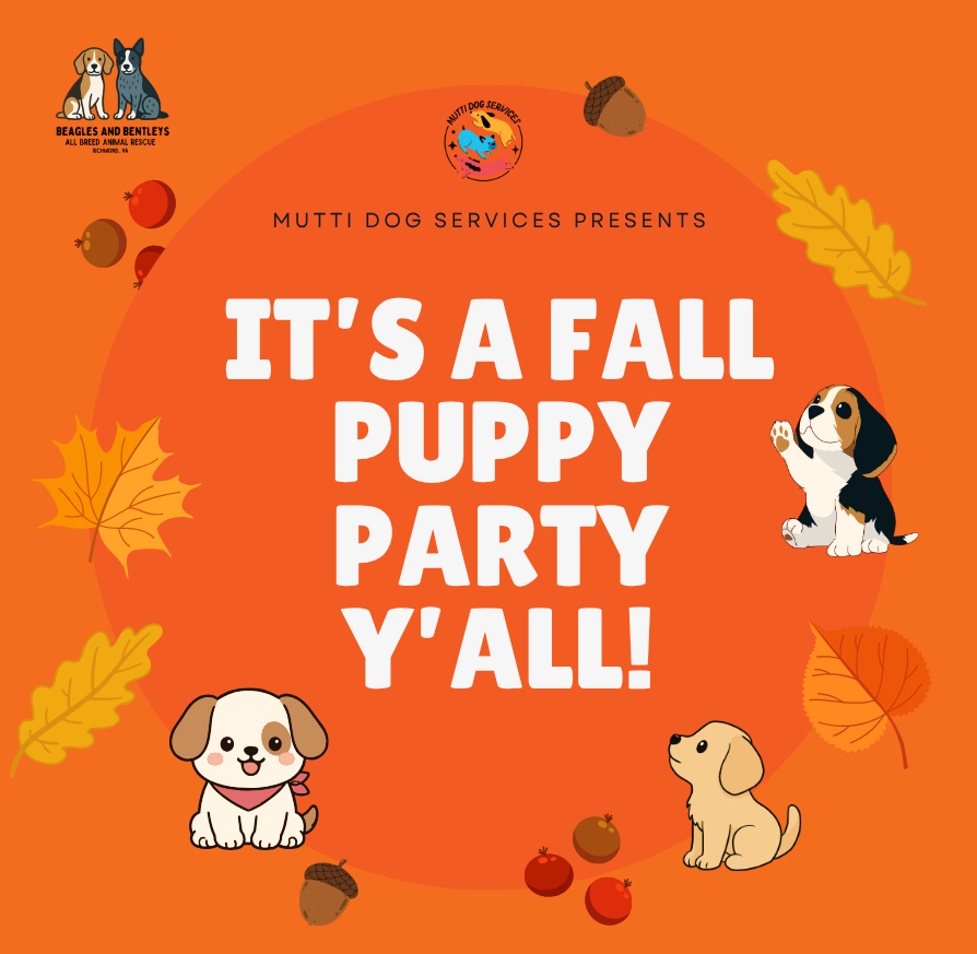 Fall Puppy Party