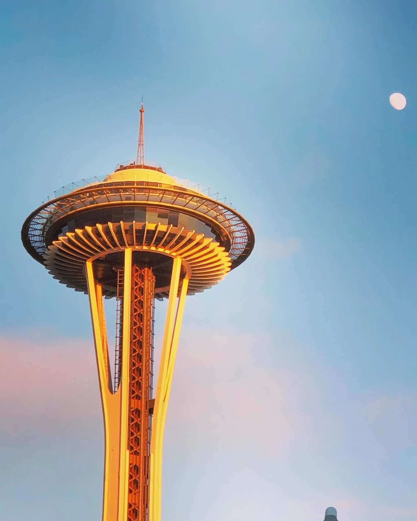 Thank You Seattle Kraken The Downtown School Small By Design
