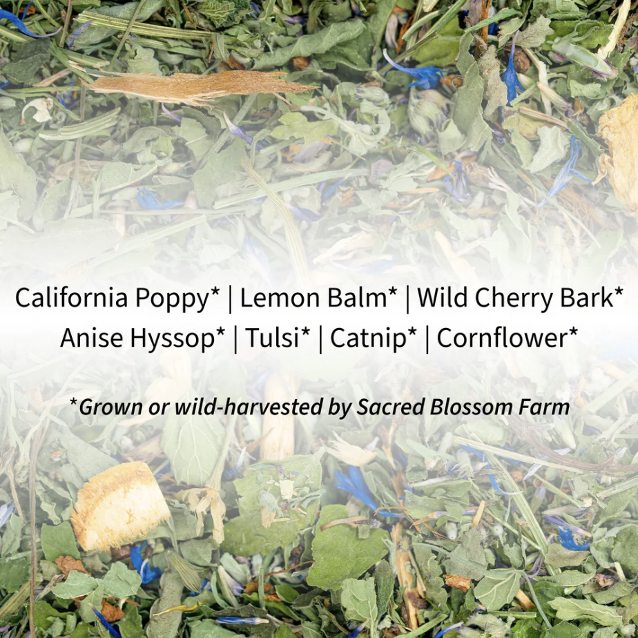 Screenshot 2026-04-29 at 2.12.16 PM.png