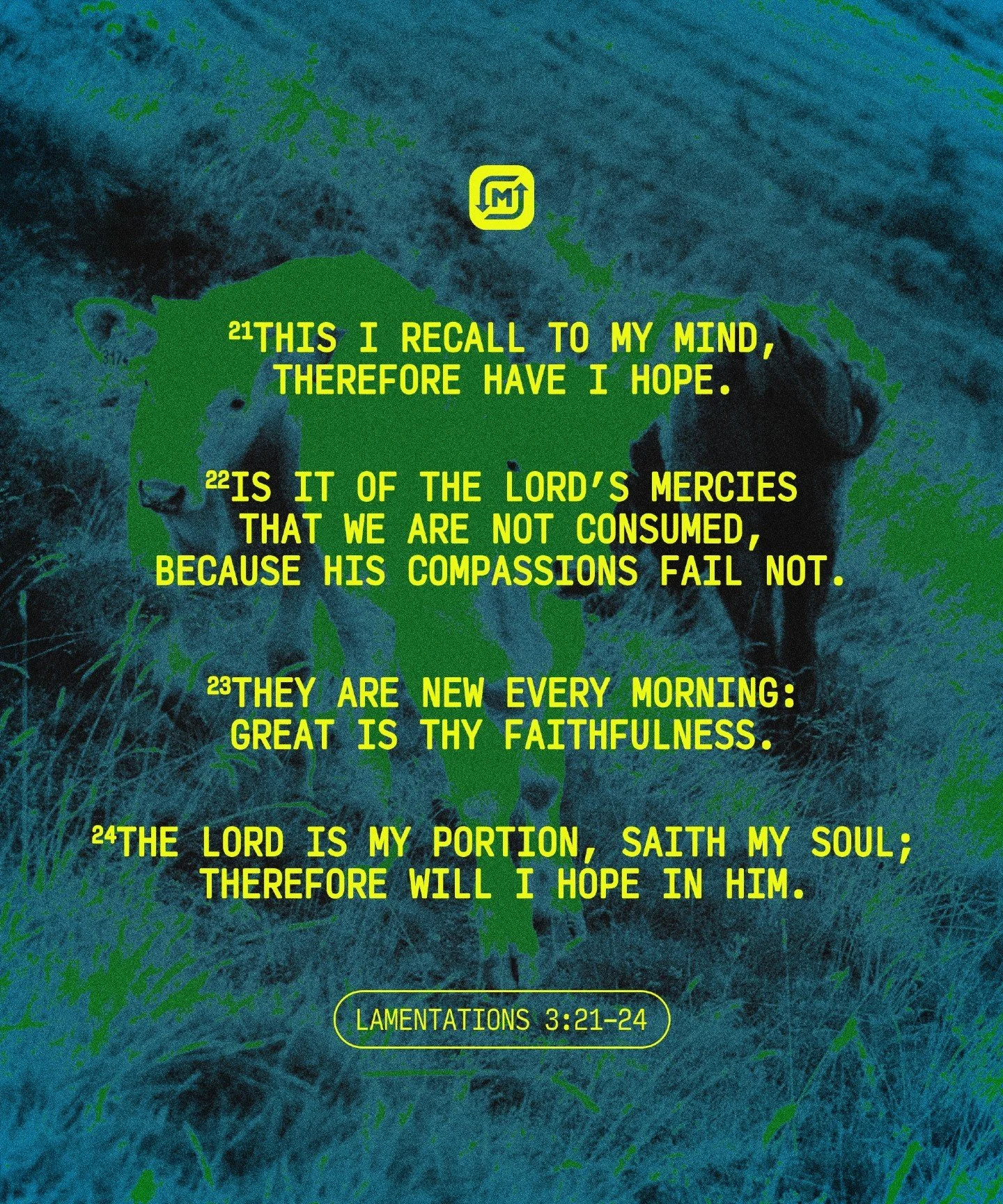When we recall His mercy, hope rises. 🙌 His compassion never fails, and His faithfulness meets us fresh every morning. #Lamentations3 #MetaChurch
