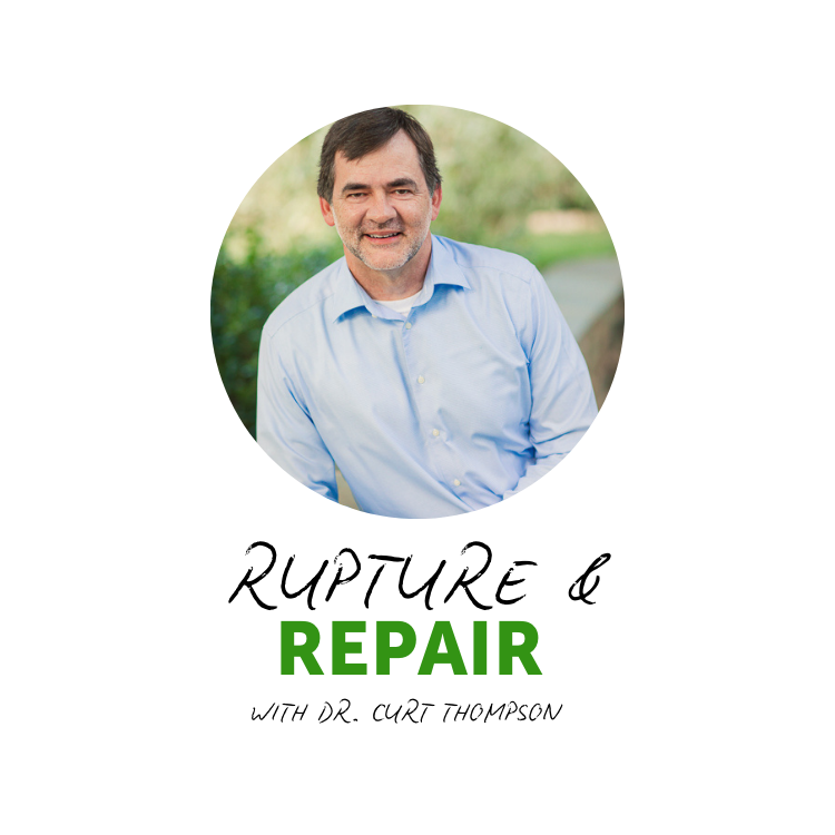 Online Webinar: Rupture & Repair w/ Dr. Curt Thompson