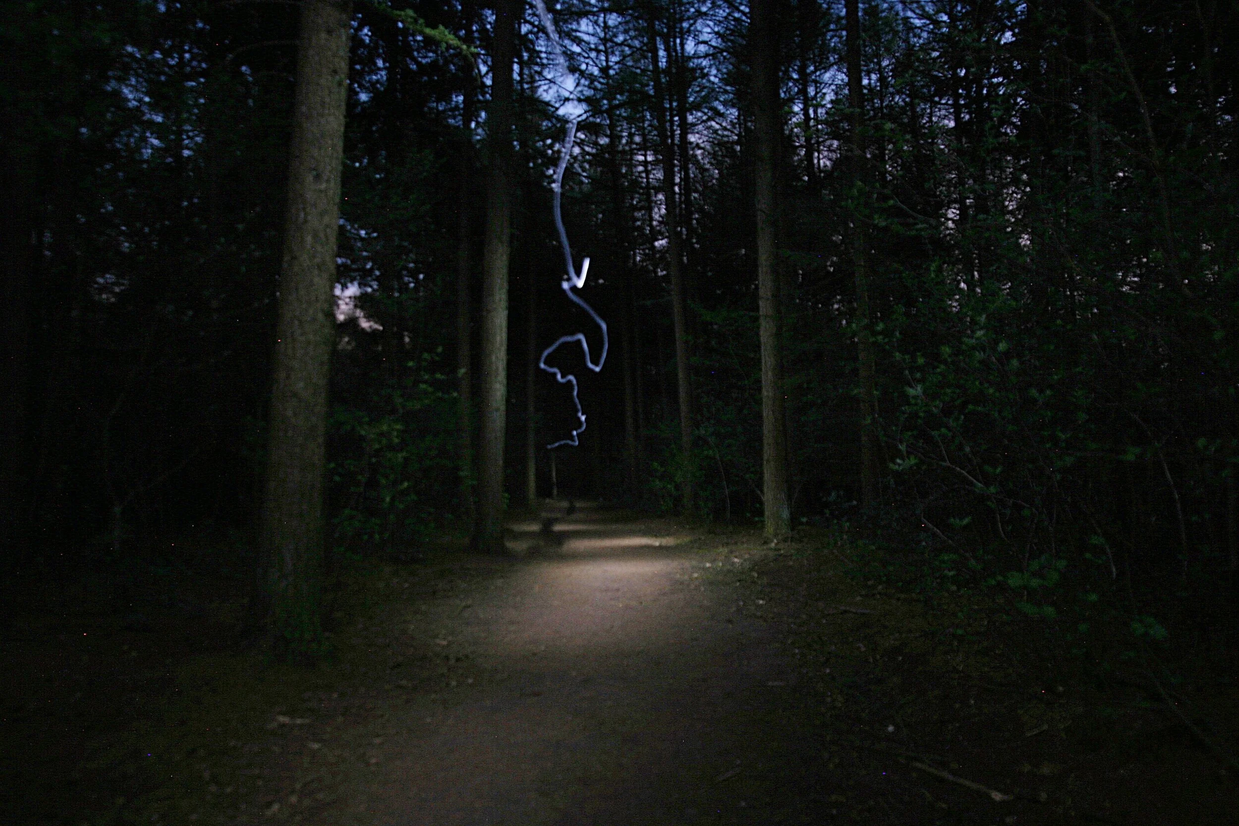 IMG_0046 Hollandsche_Rading_Forest.jpg