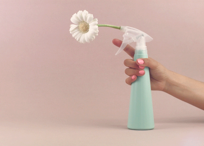 Plant-Spray_650x464.gif
