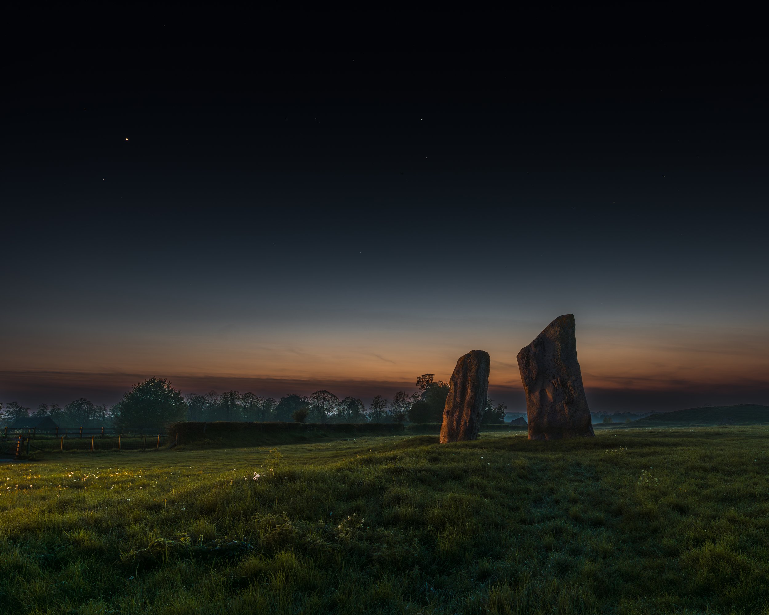 Dusk Daisies at Avebury