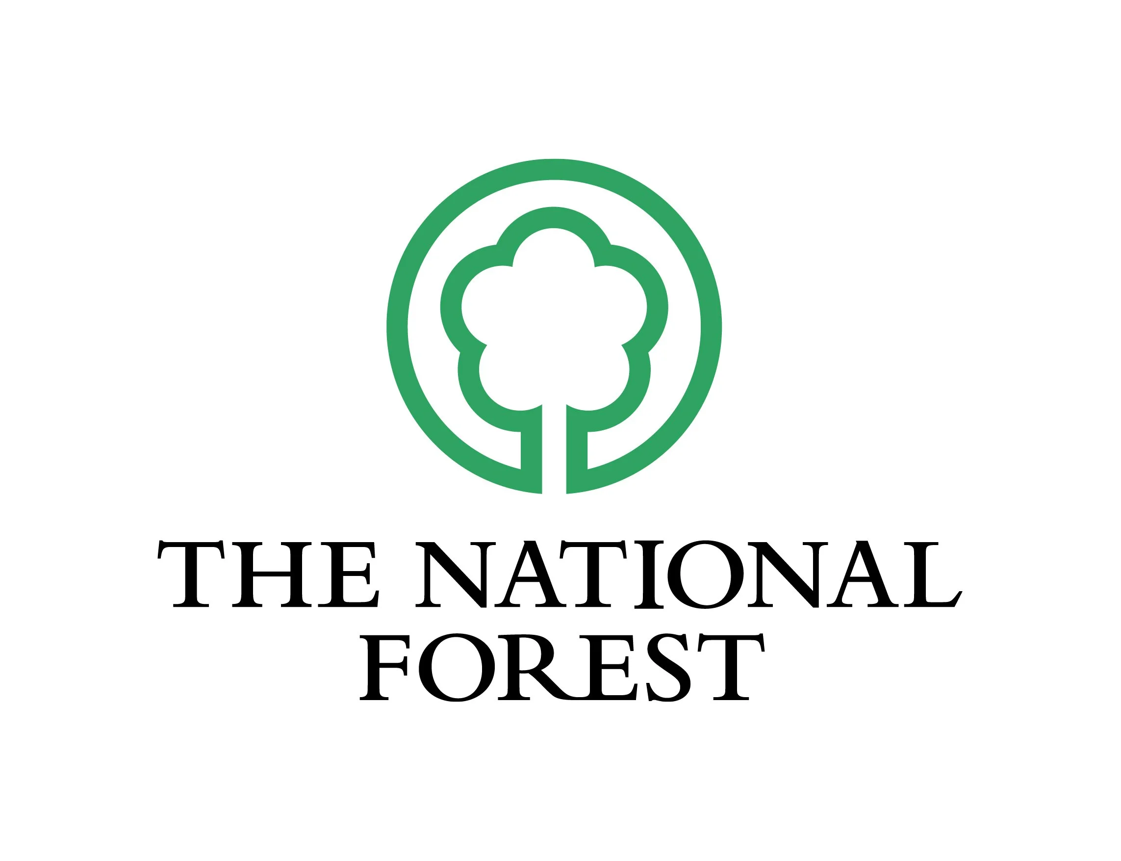 Trustee (Strategy and Development)