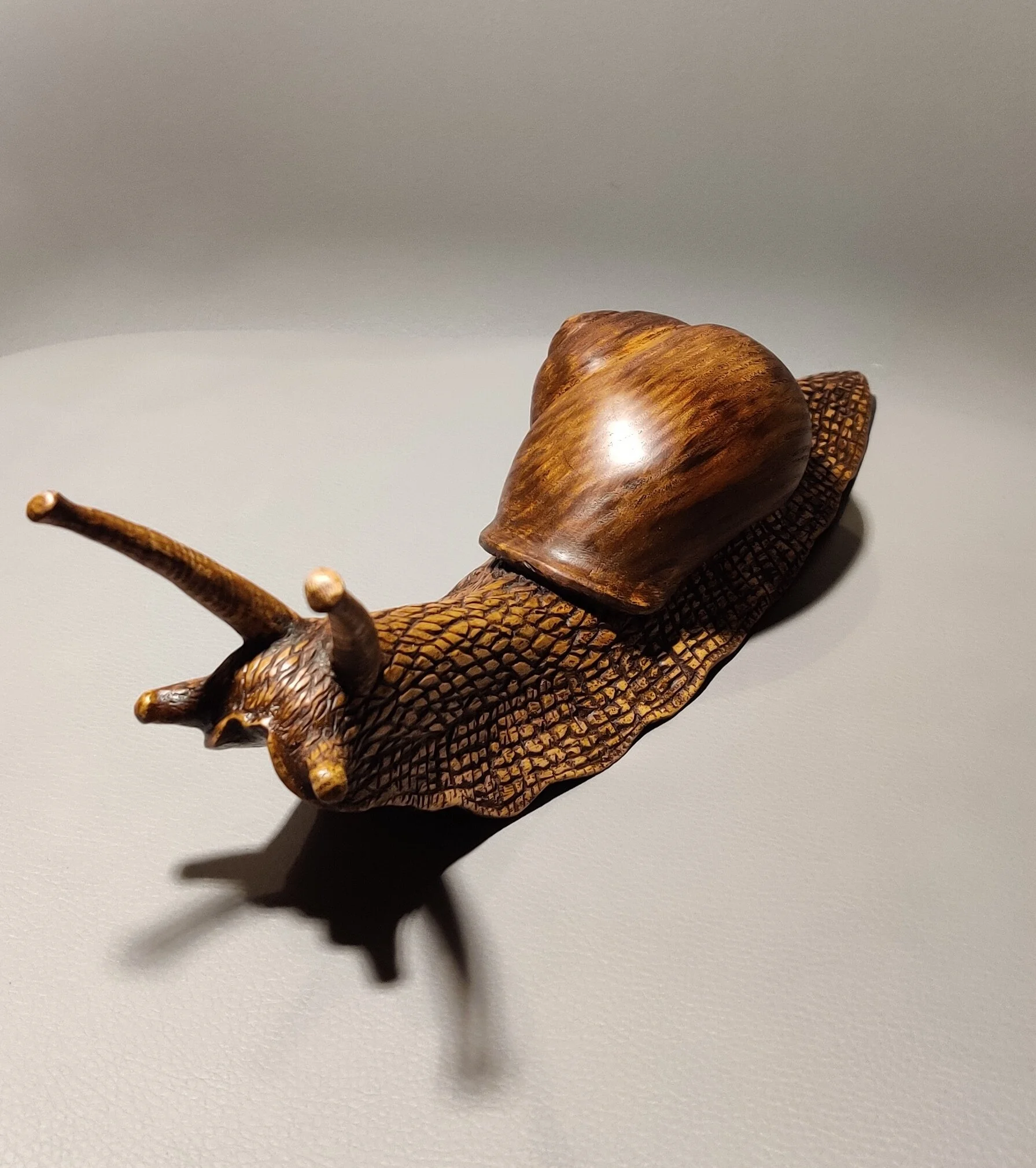 snail in ash2.jpg
