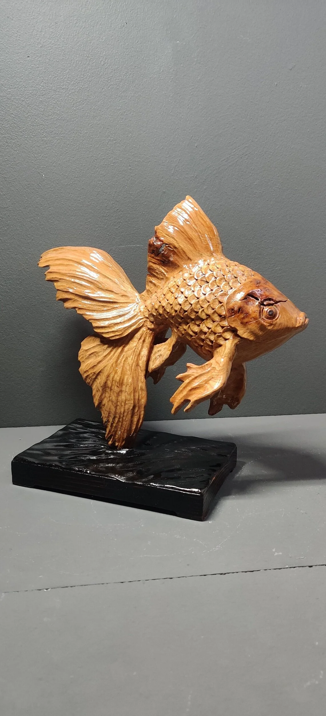  RETAINED Goldfish in elm on charcoaled larch base 