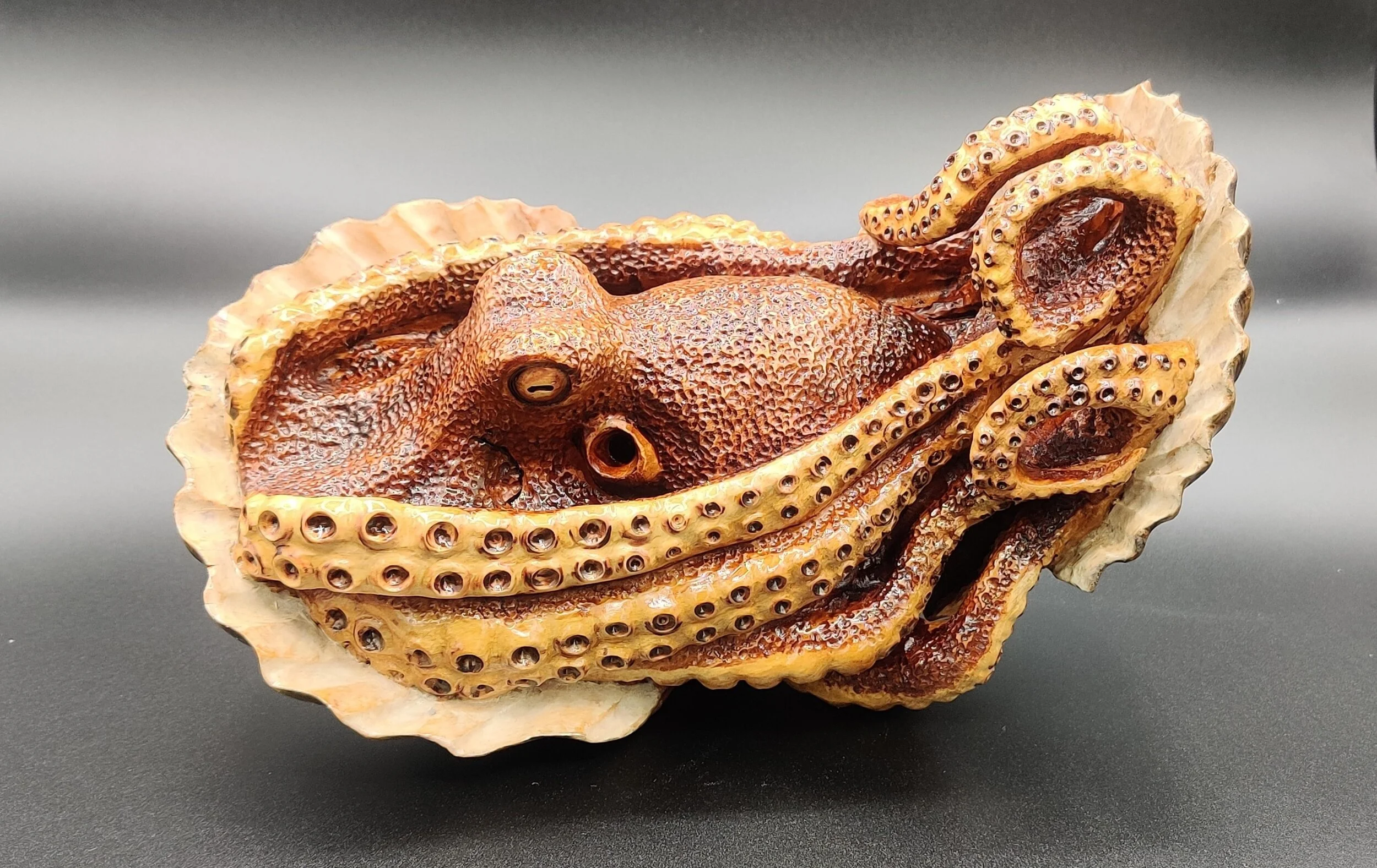 Octopus finding refuge in clam shells - one piece in oak