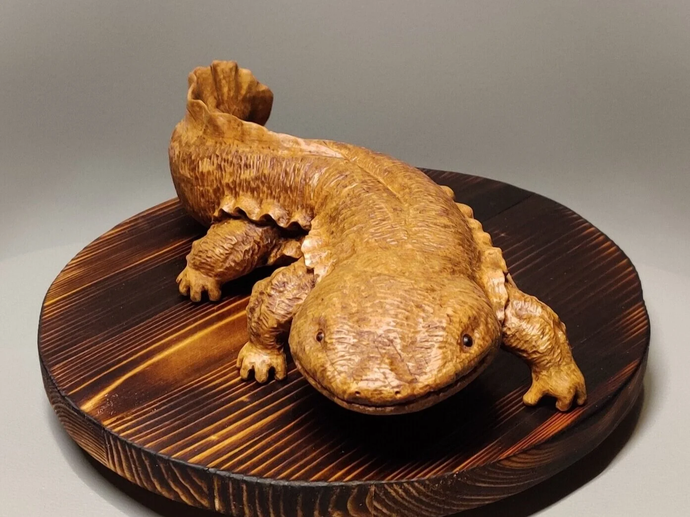 Giant salamander in birch inspired by Rinsui