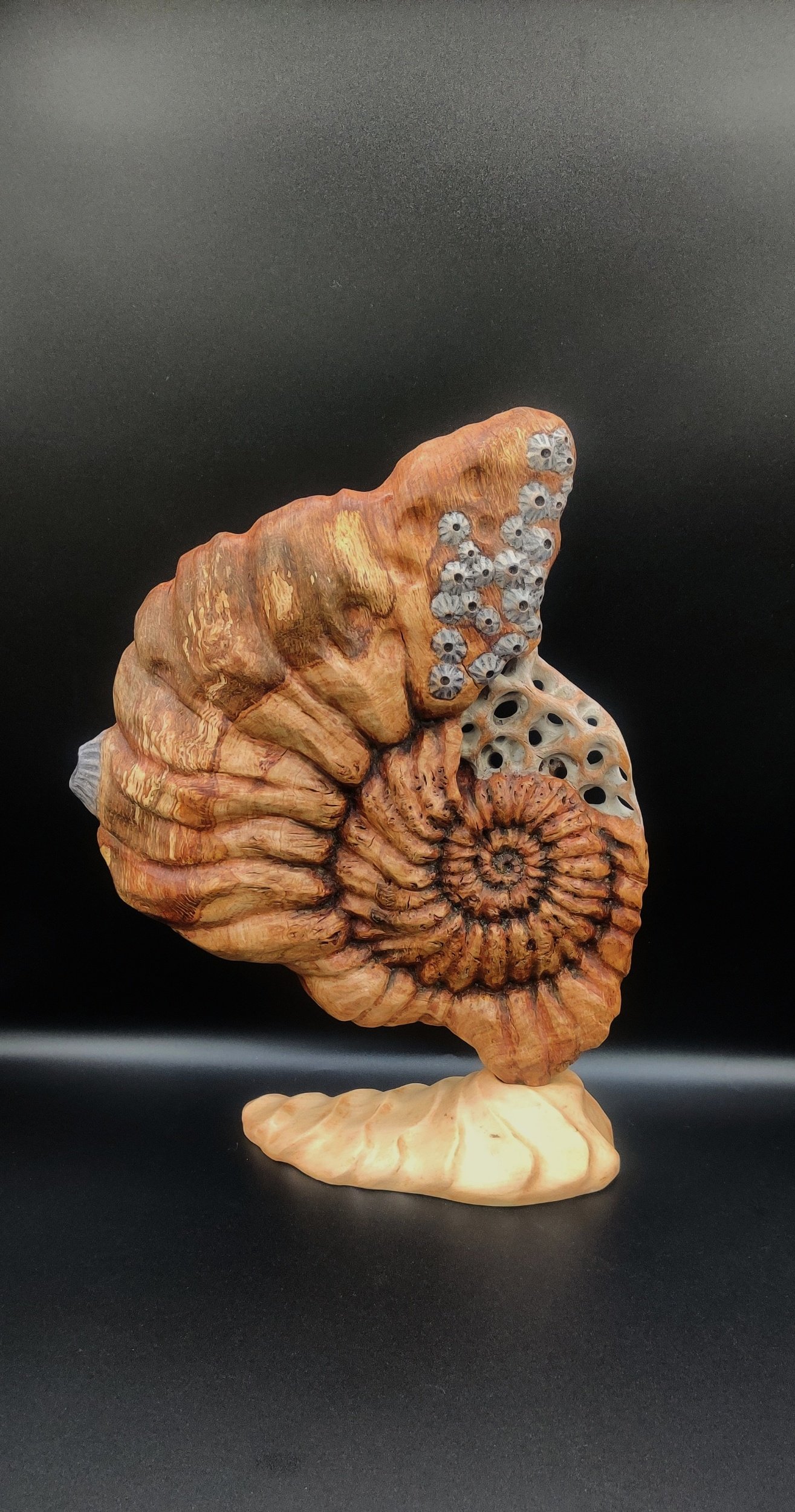 RETAINED -Tribute to the Carsaig Bay -ammonite in oak burl on lime wood base 