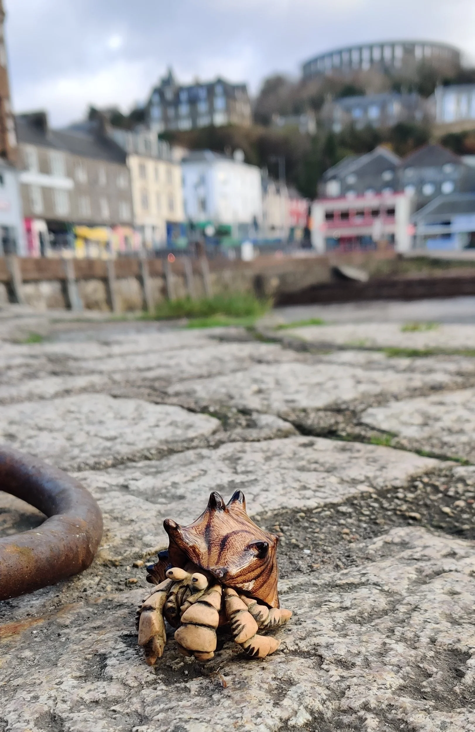RETAINED Hermit crab in basswood and elm