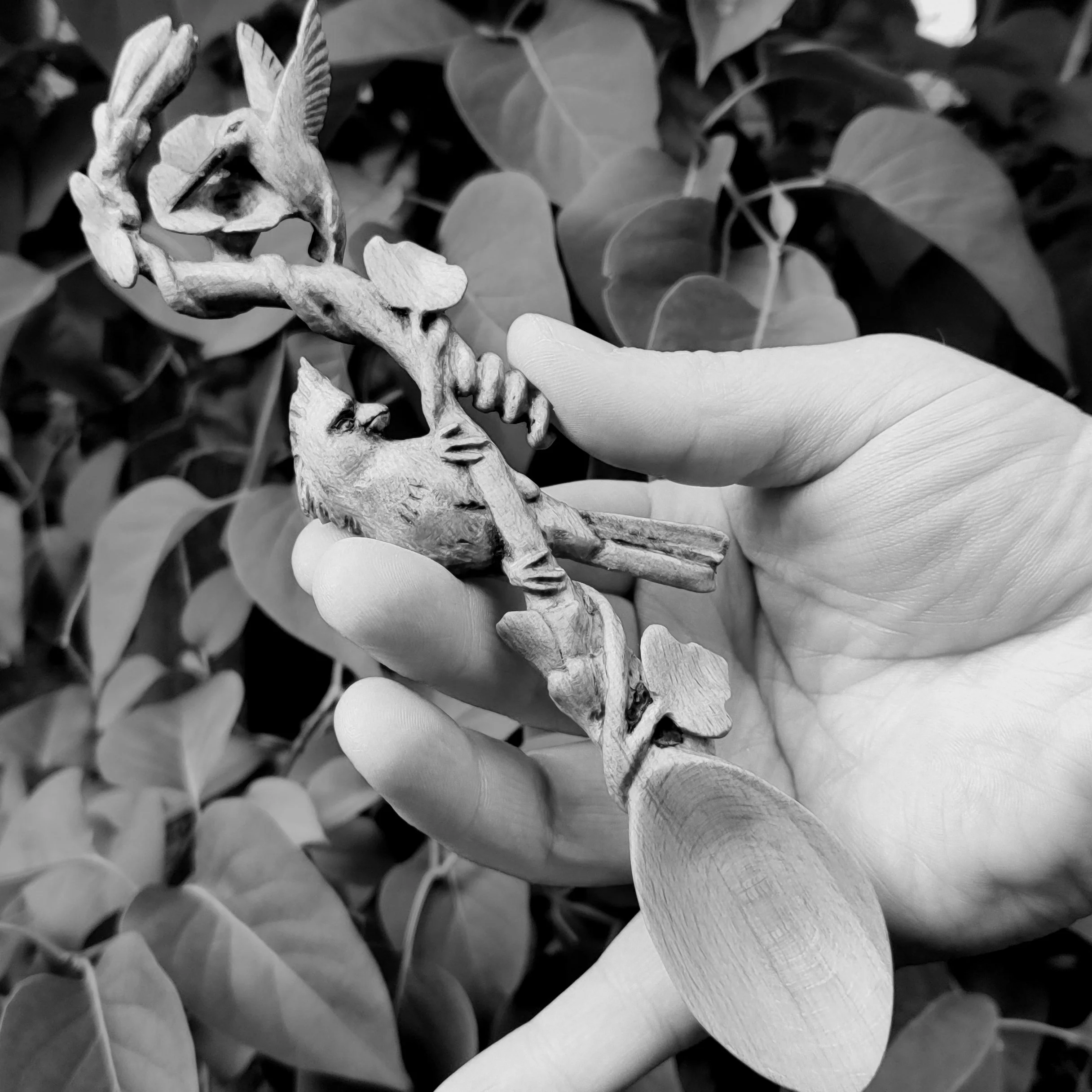 SOLD - Cardinal and humming bird spoon in sycamore 