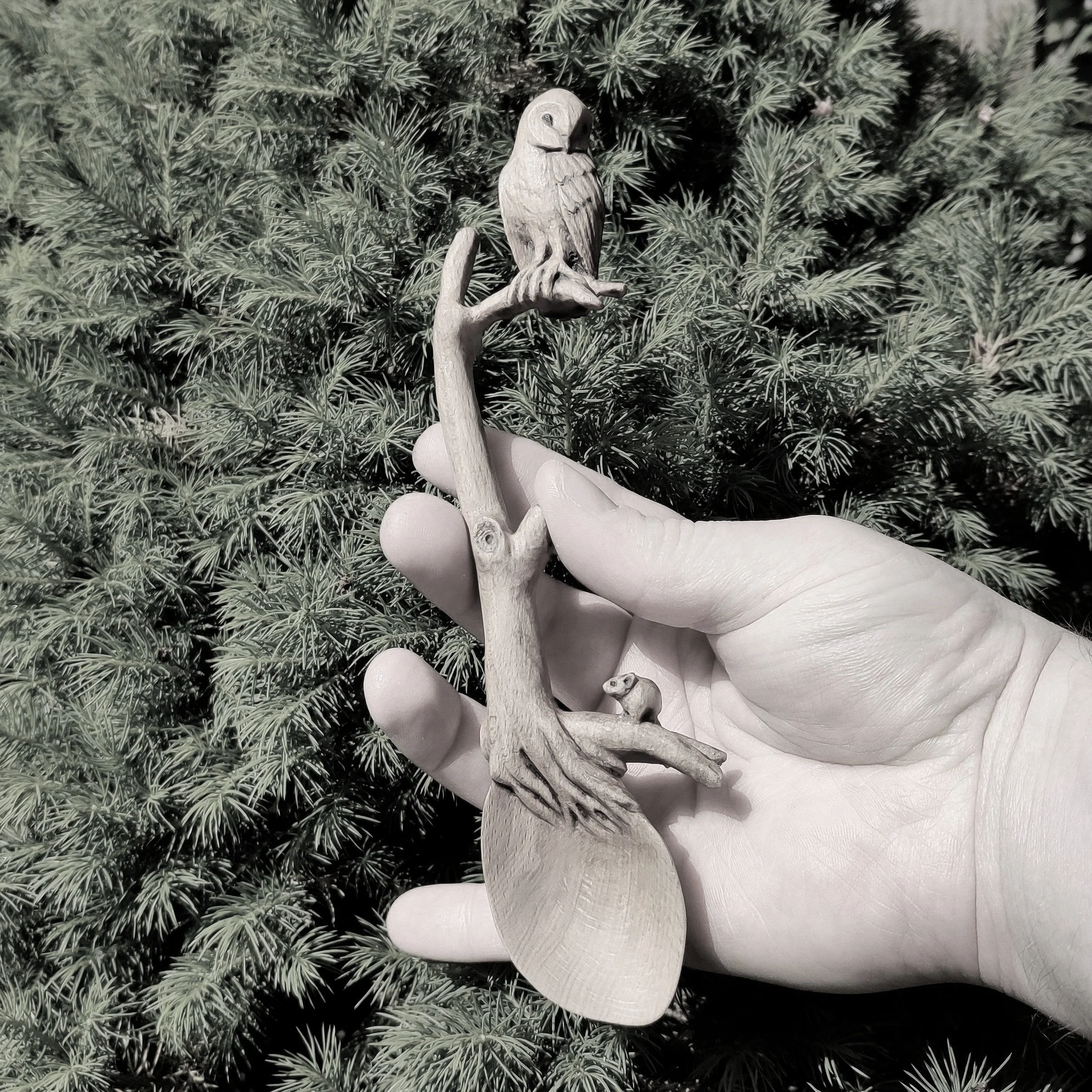 SOLD - "Last stroll" - spoon in sycamore 