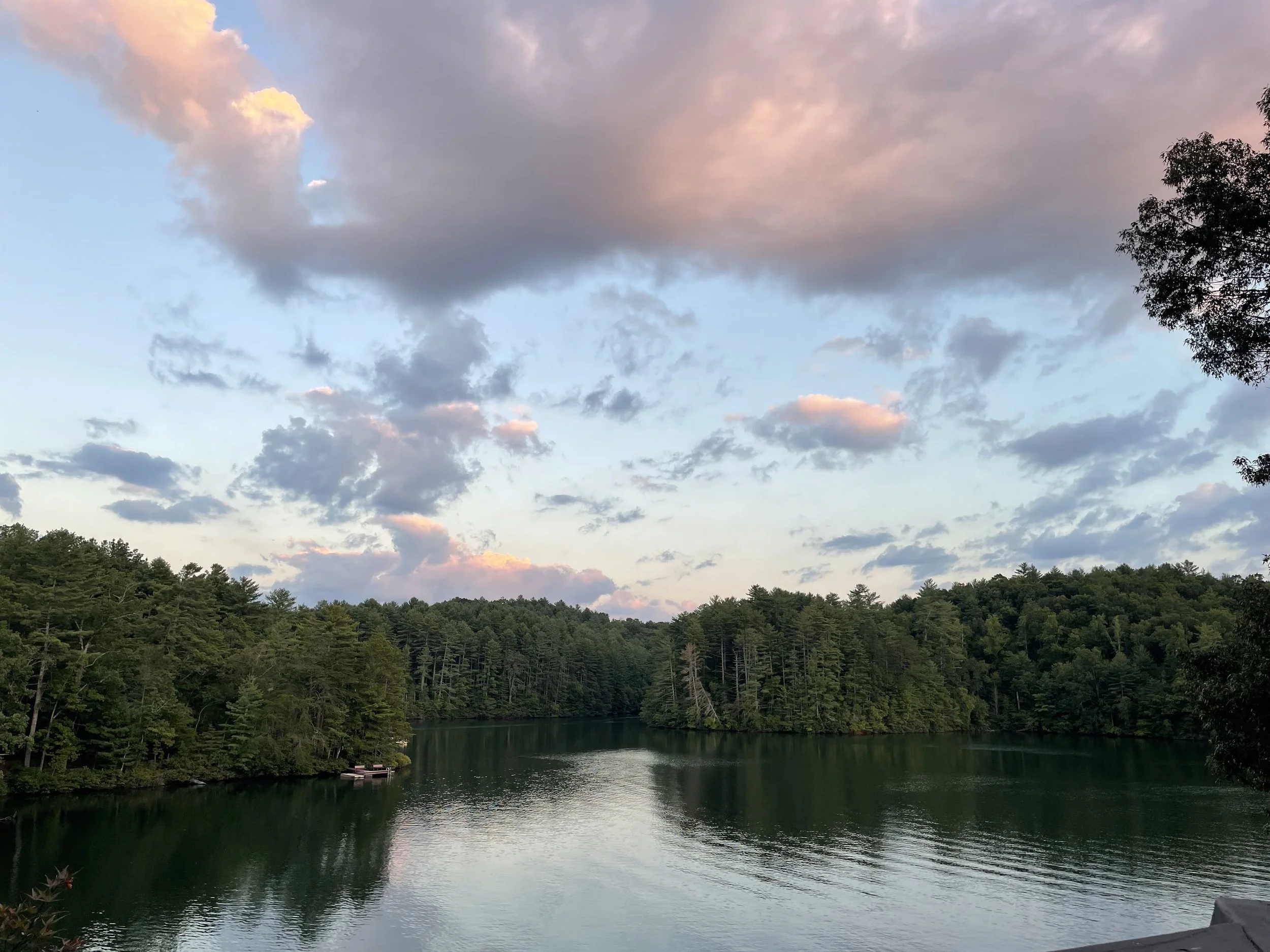 A peaceful lake surrounded by dense forest under a sky with scattered clouds during sunset.