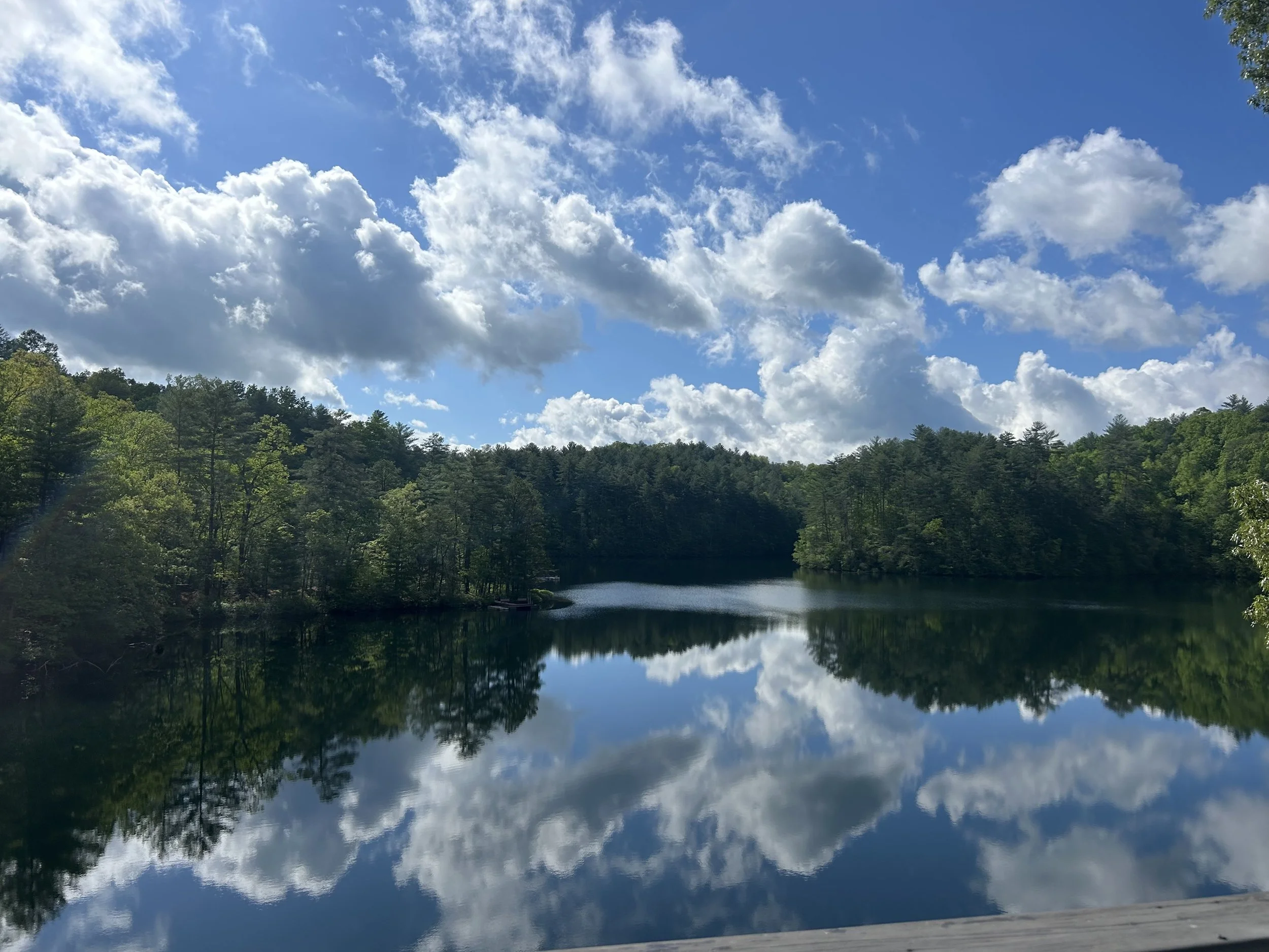 IMG_8801.jpeg (Copy)