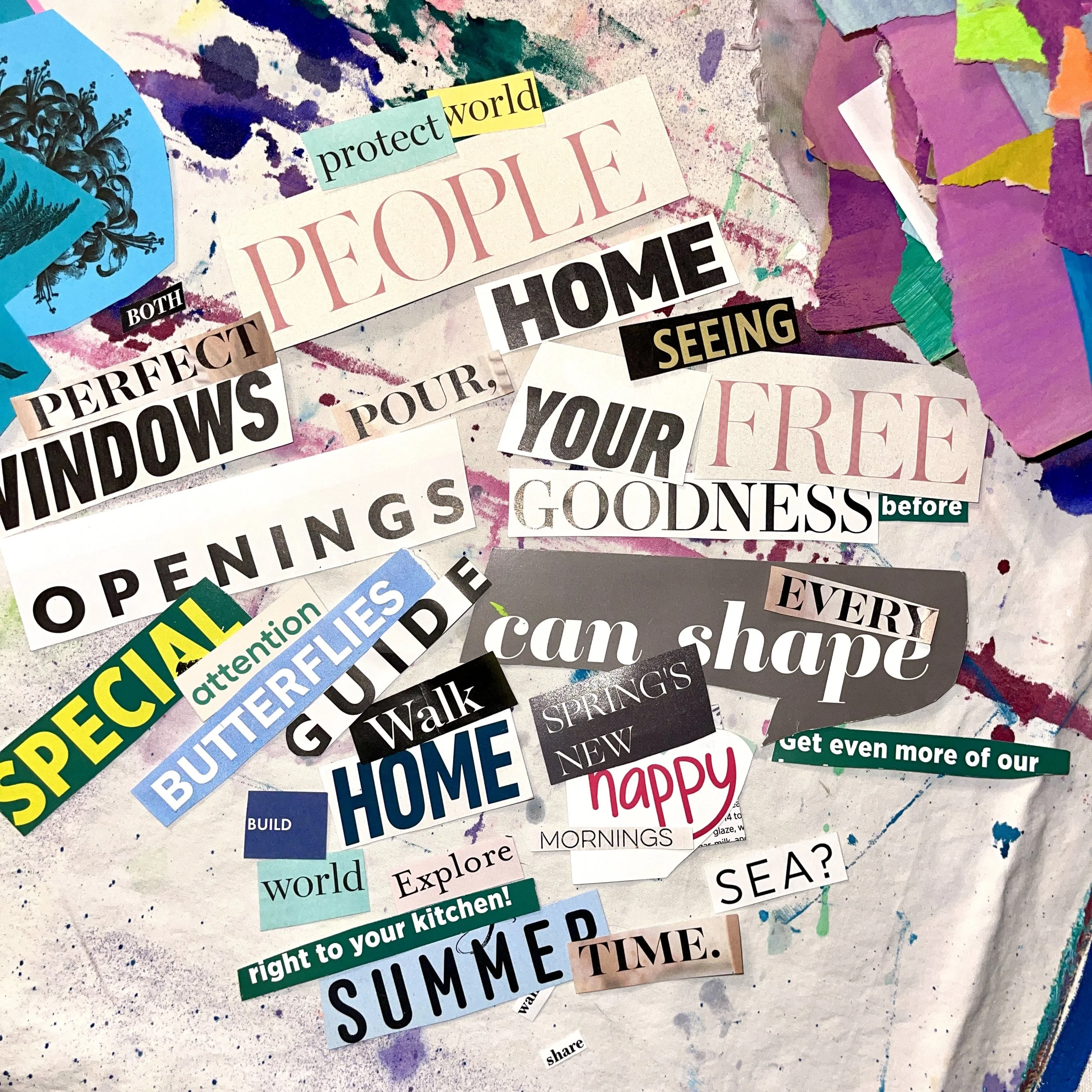 MIRANDA COLLAGE 8.jpg