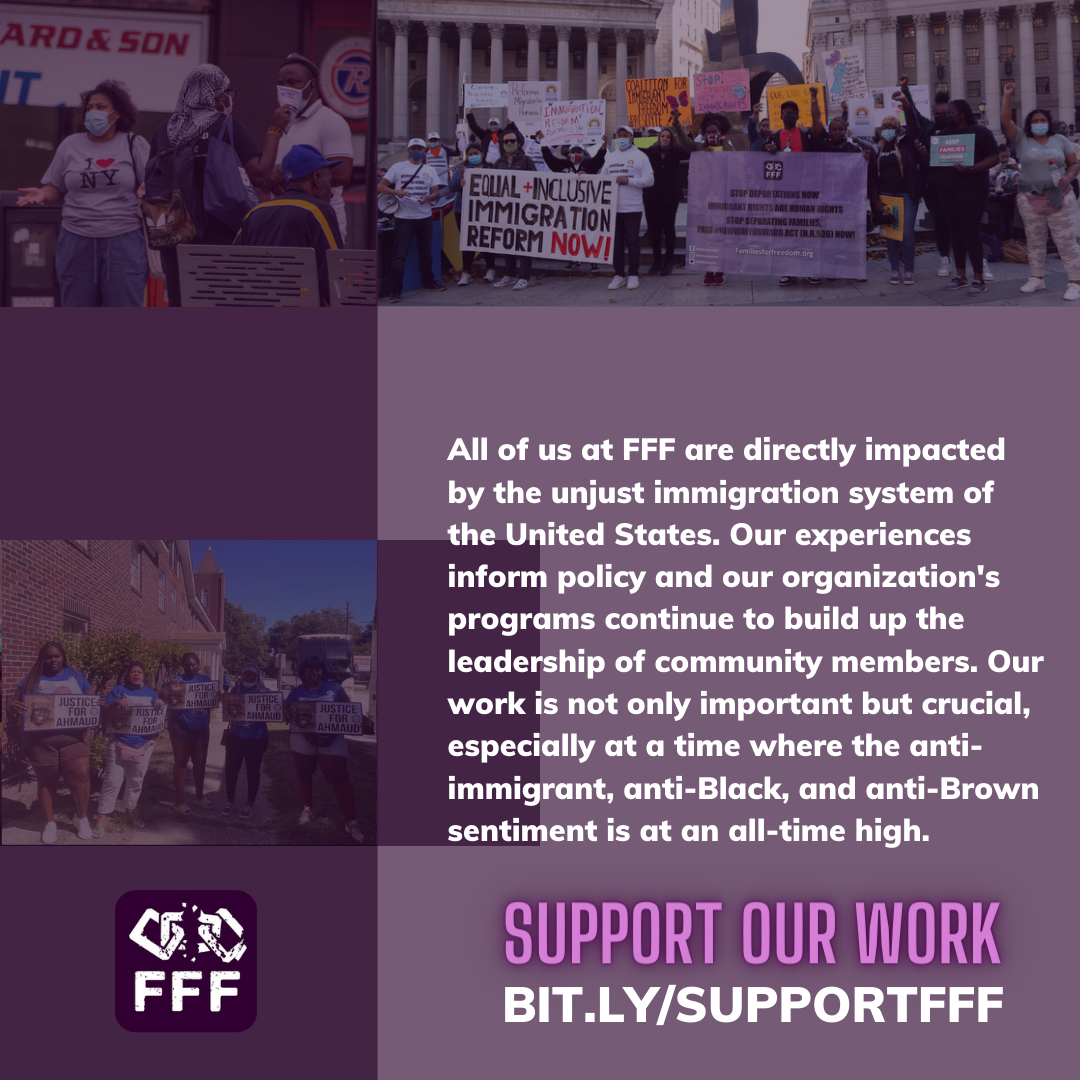 FFF year-end fundraising graphic 3.png