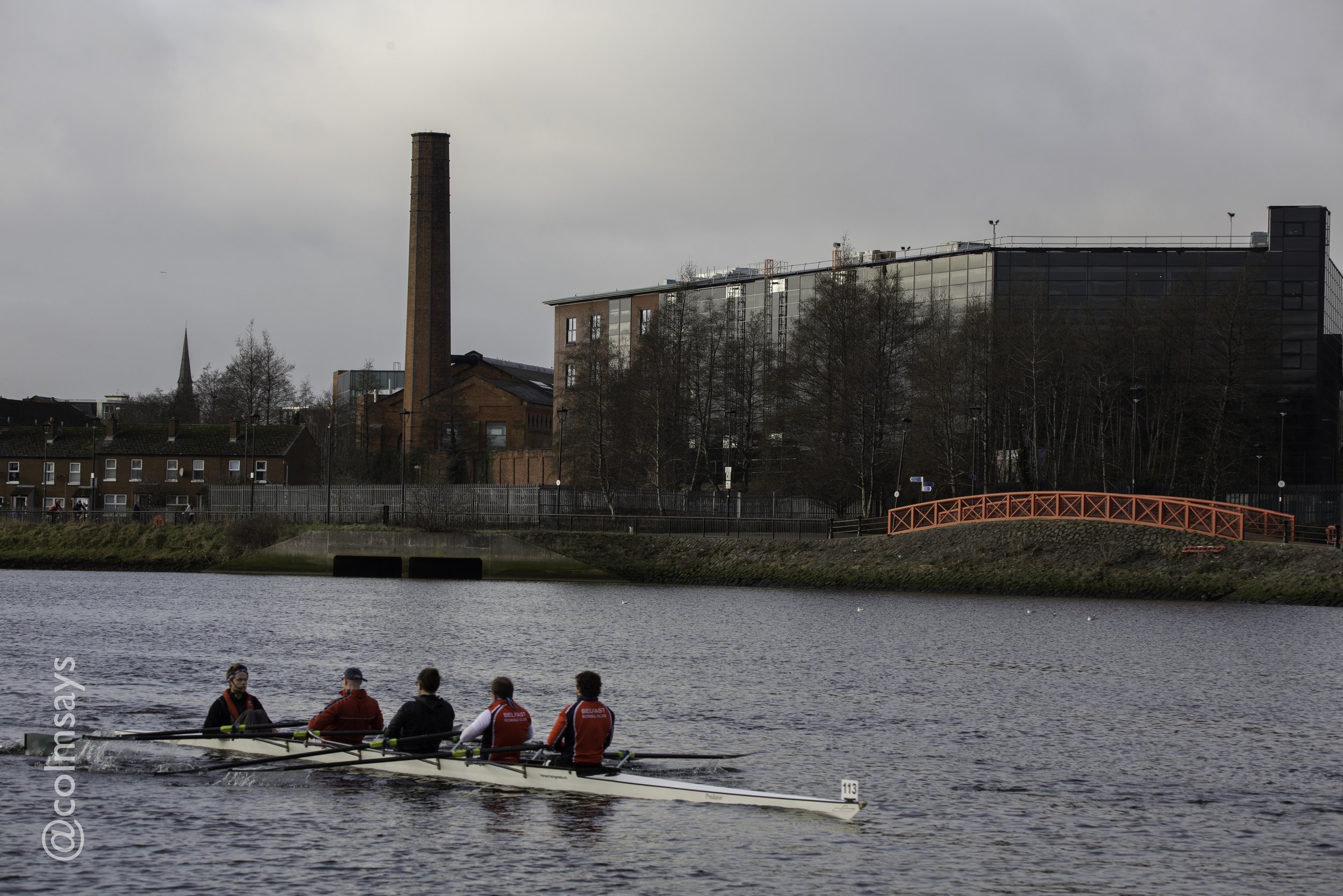 Lagan HOR - Head 1-8.jpg