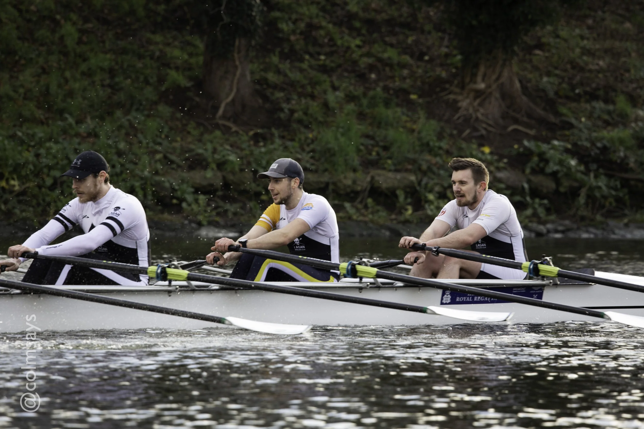 Lagan HOR - Head 2-15.jpg