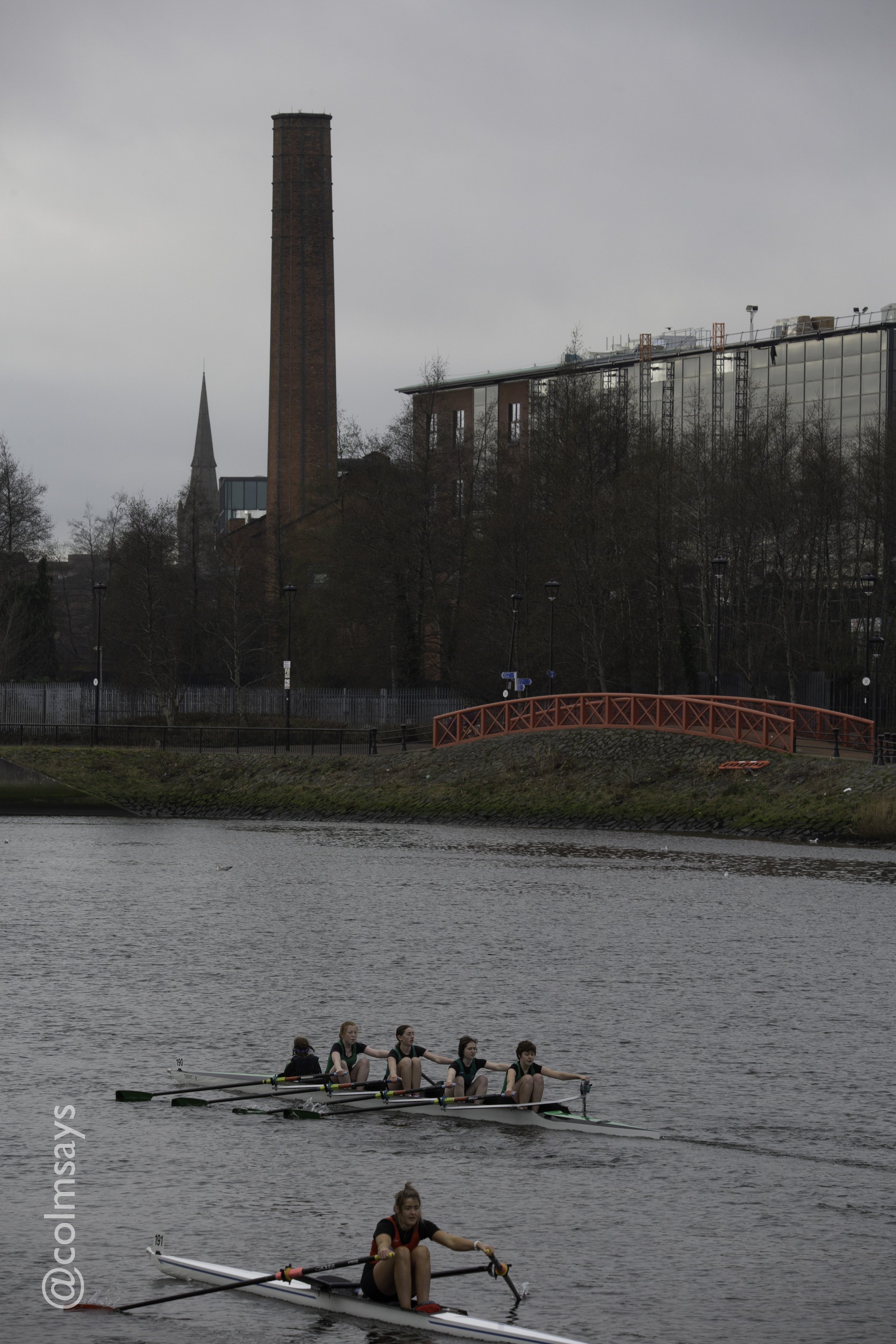 Lagan HOR - Head 1-179.jpg