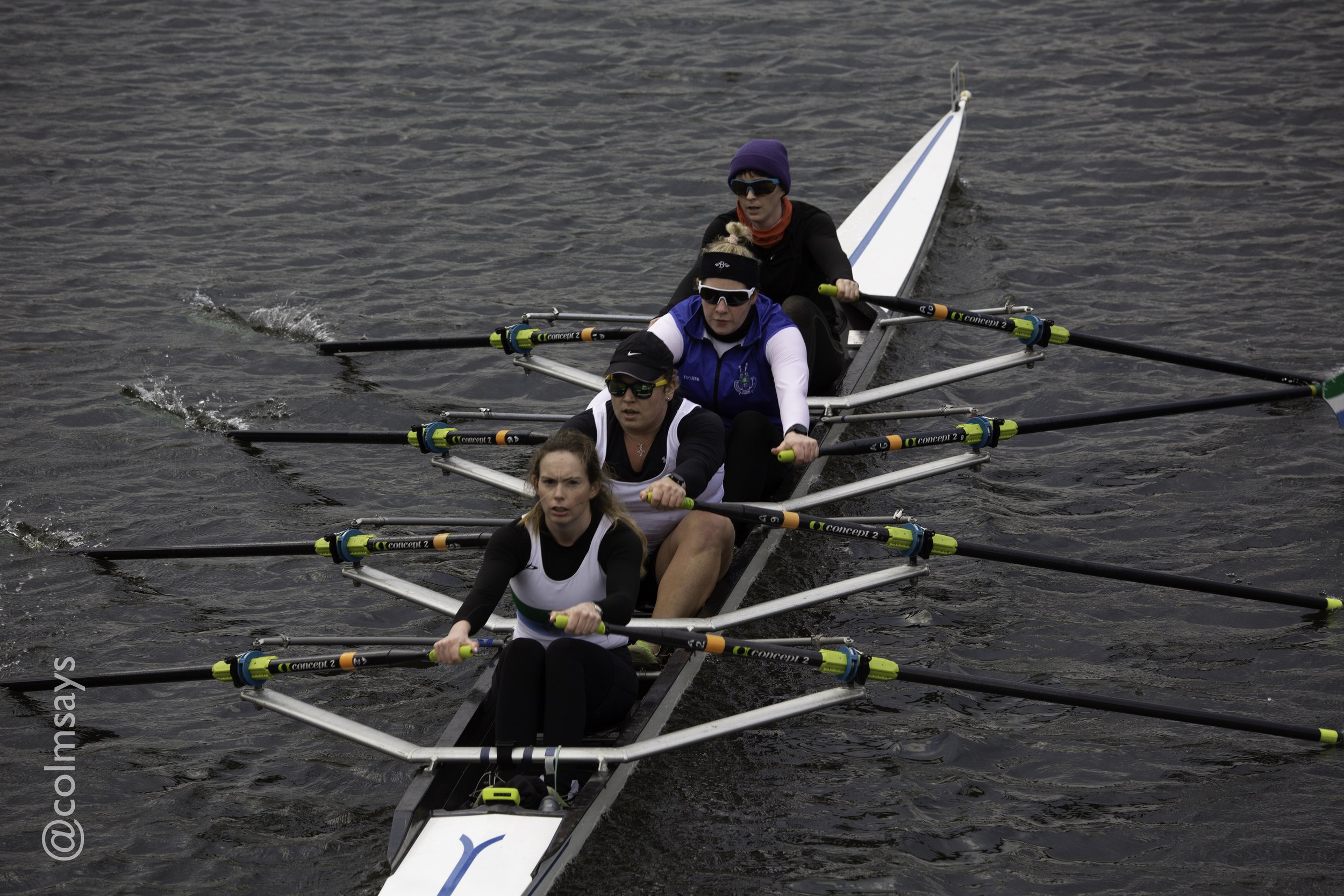 Lagan HOR - Head 2-85.jpg