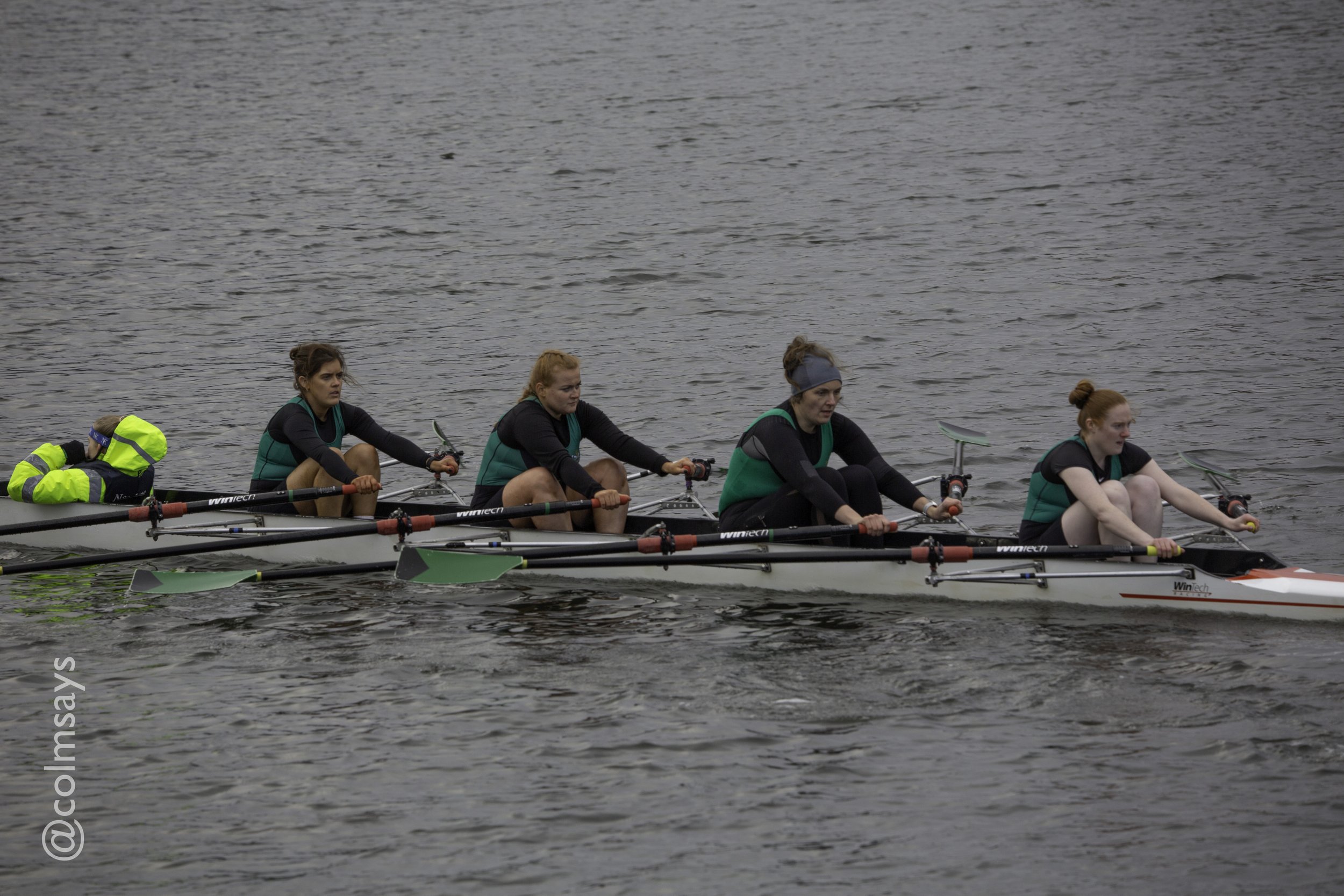 Lagan HOR - Head 1-218.jpg