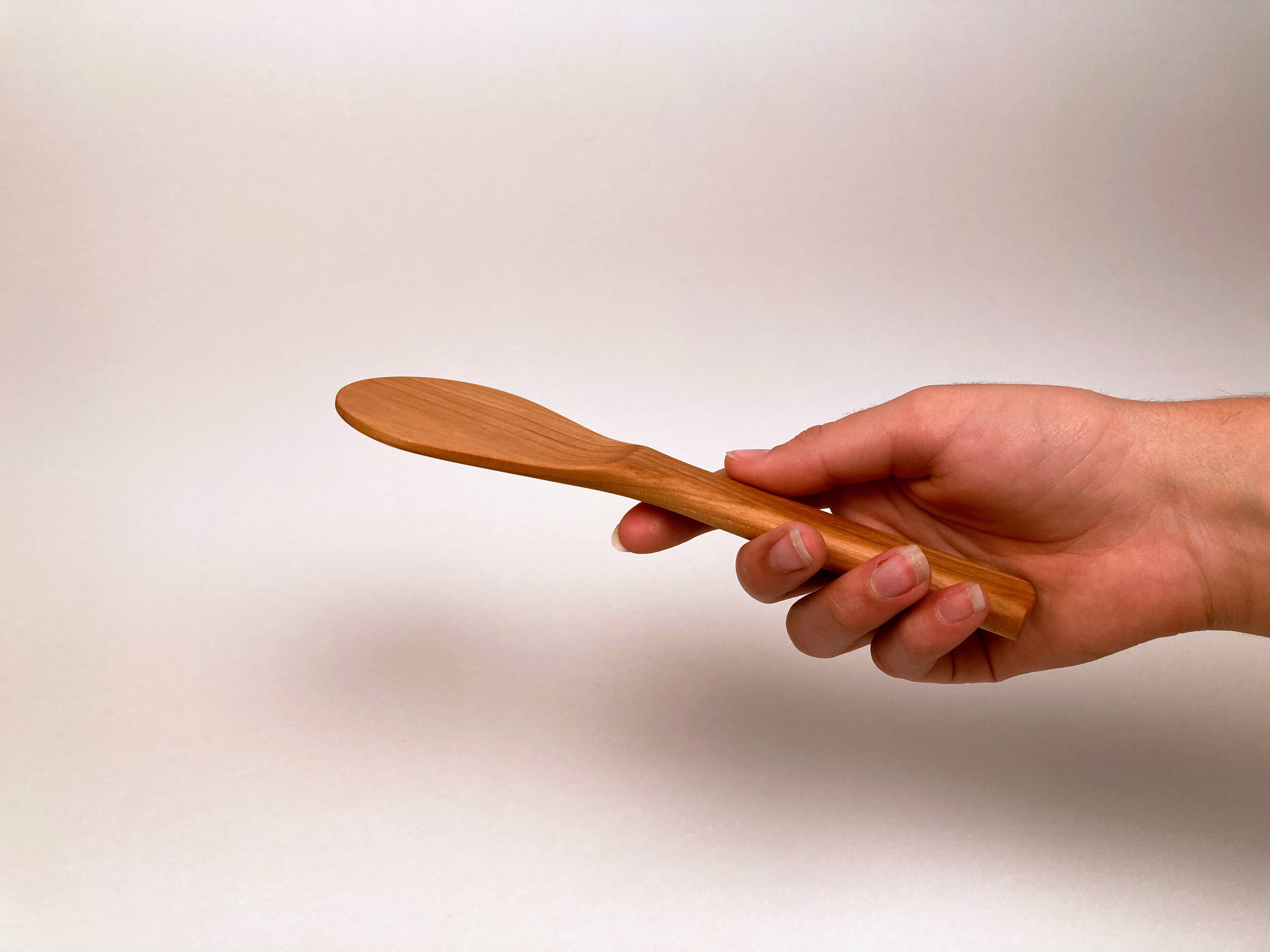 rice paddle side.jpeg