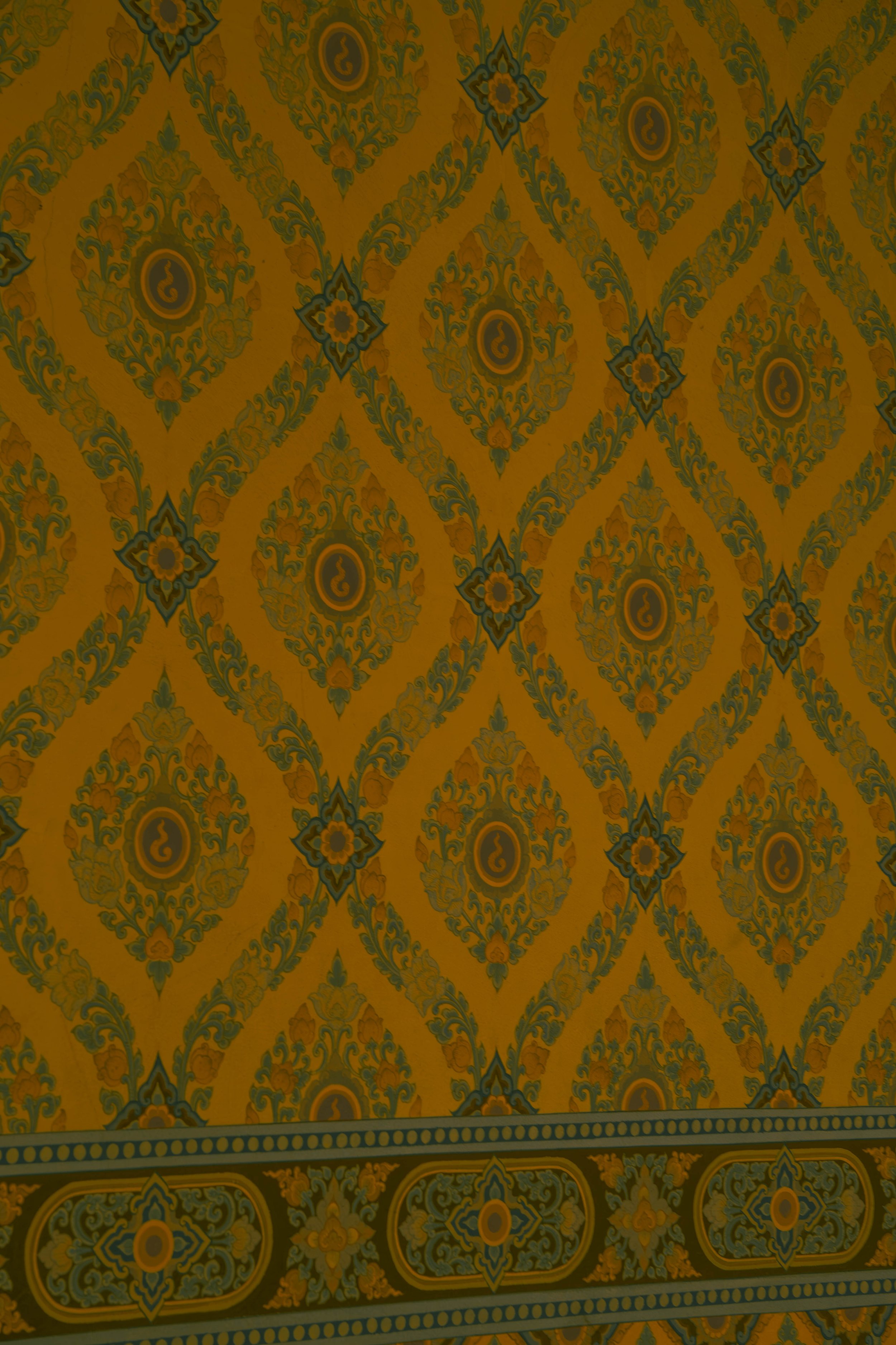 DSC04120-Enhanced-NR.jpg