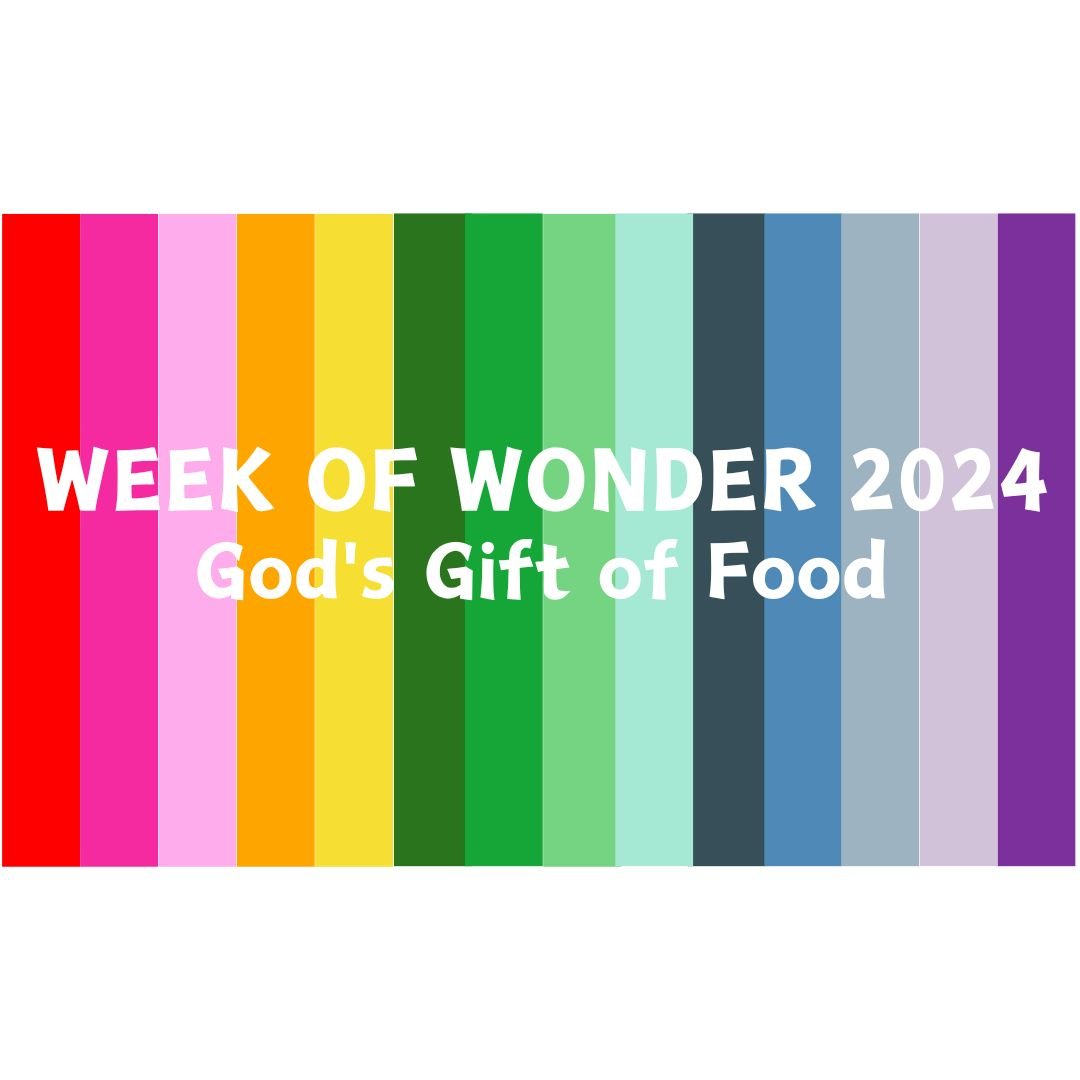 Week of Wonder (VBS) 2024 Registration is now open! Children going into Pre-Kindergarten through 6th Grade are invited to join us for this super fun week at First Presbyterian Church of Athens Sunday,  July 14 &ndash; Wednesday, July 17. This summer&