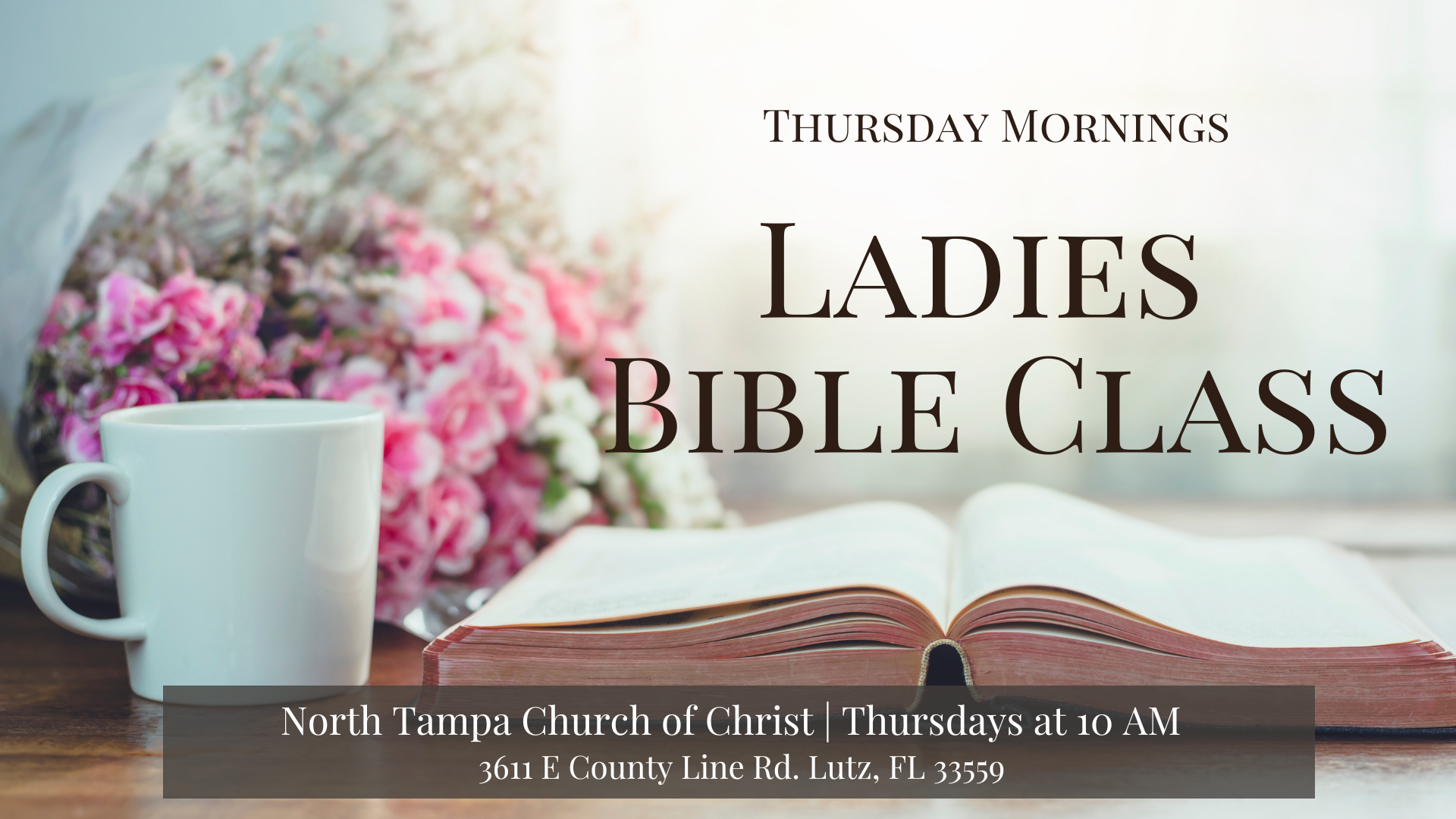 Thursday Ladies Bible Class