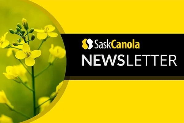 SaskCanola Newsletter January 24, 2022