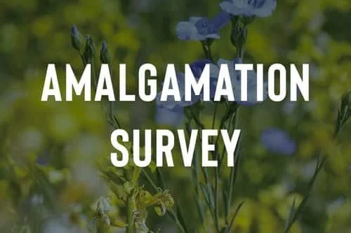 SaskCanola &amp; SaskFlax Address Amalgamation Survey Feedback