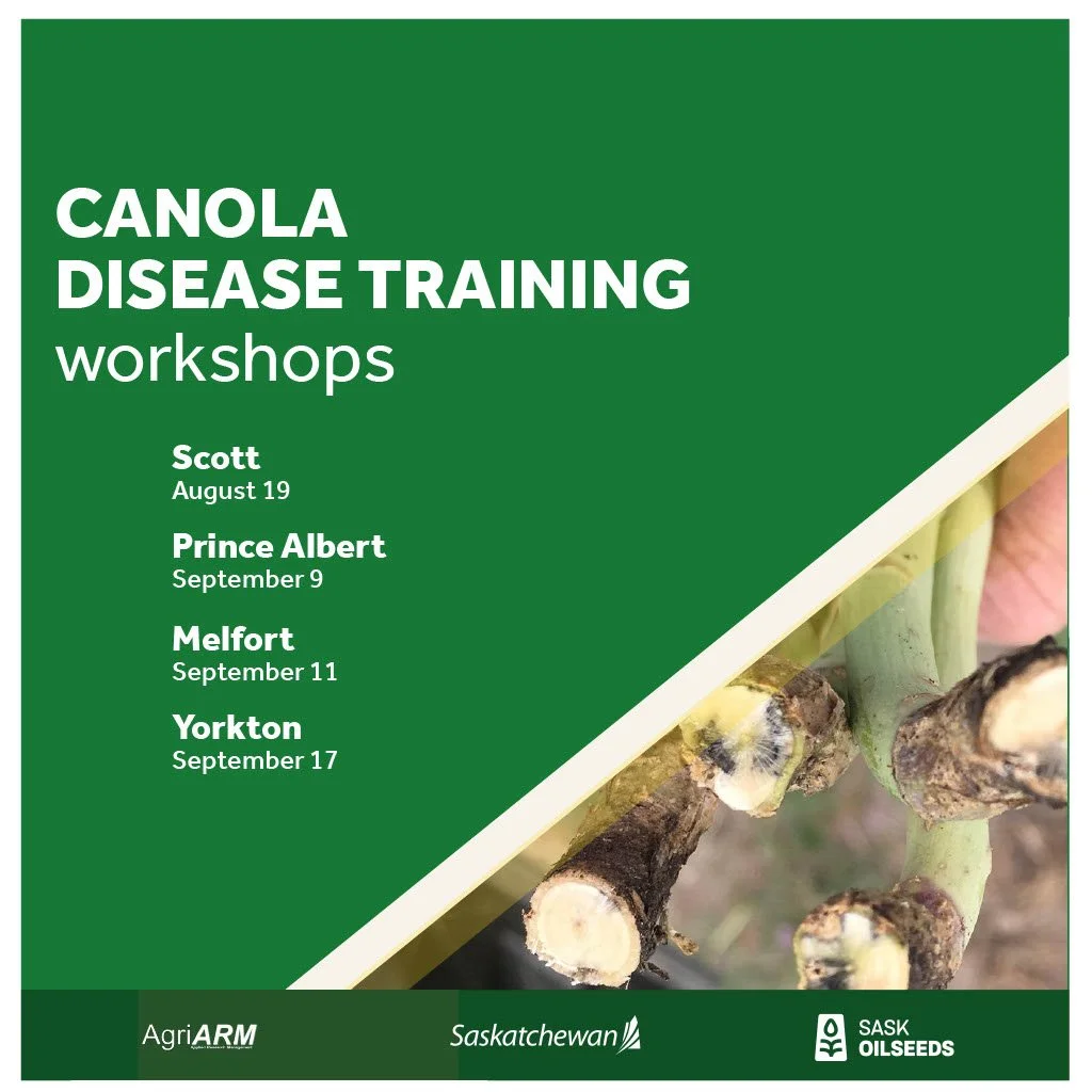 Canola Disease ID Training