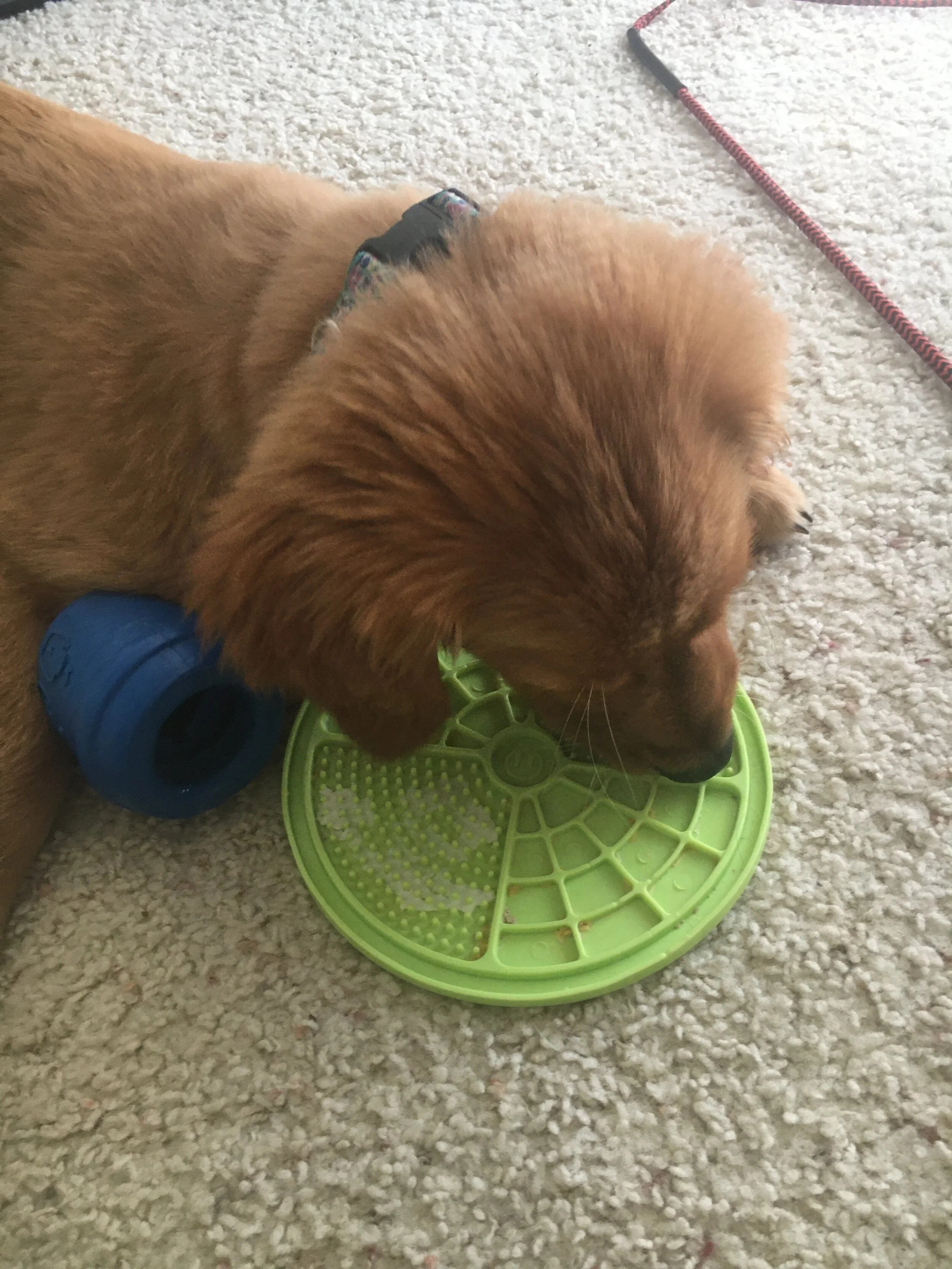 Lick Mat