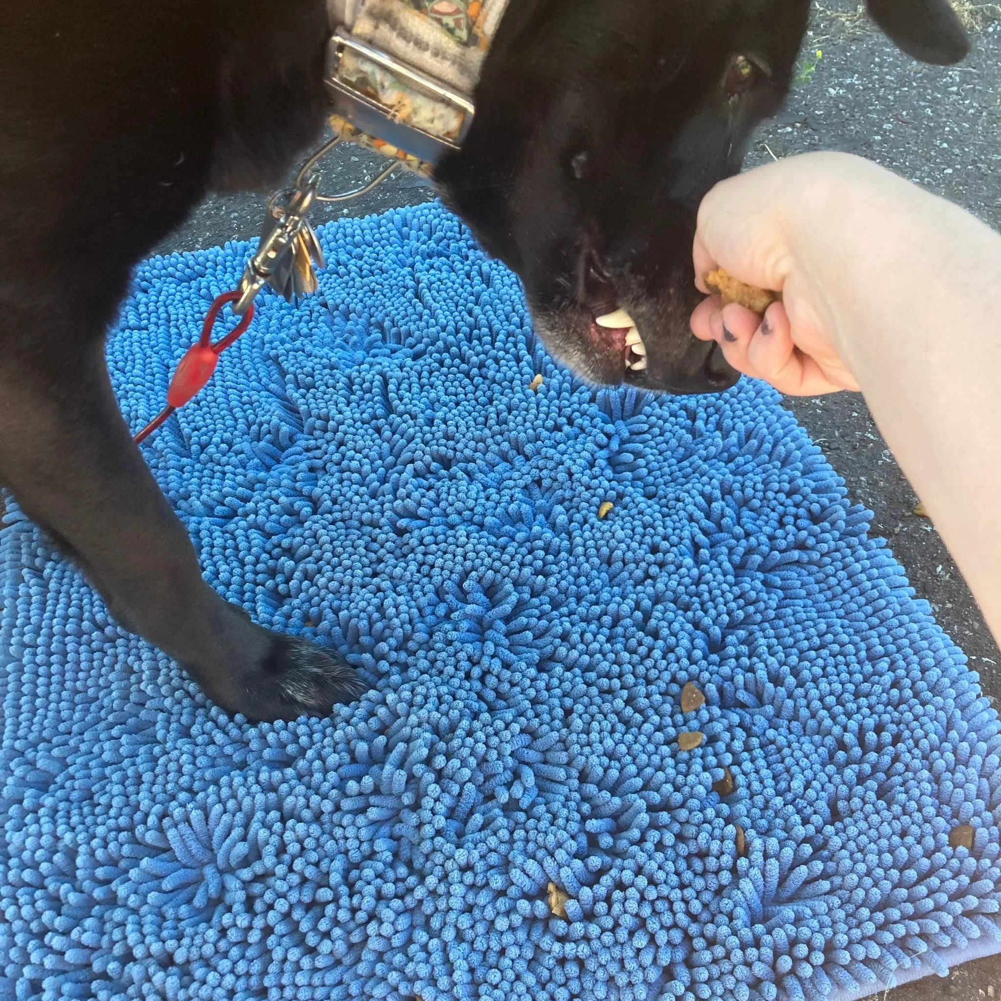 What is a snuffle mat for?