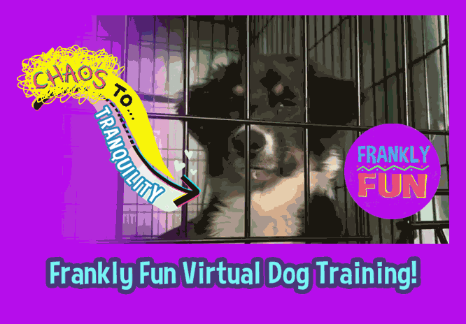 FRANKLY FUN CRATE TRAINING GUIDE&nbsp; 