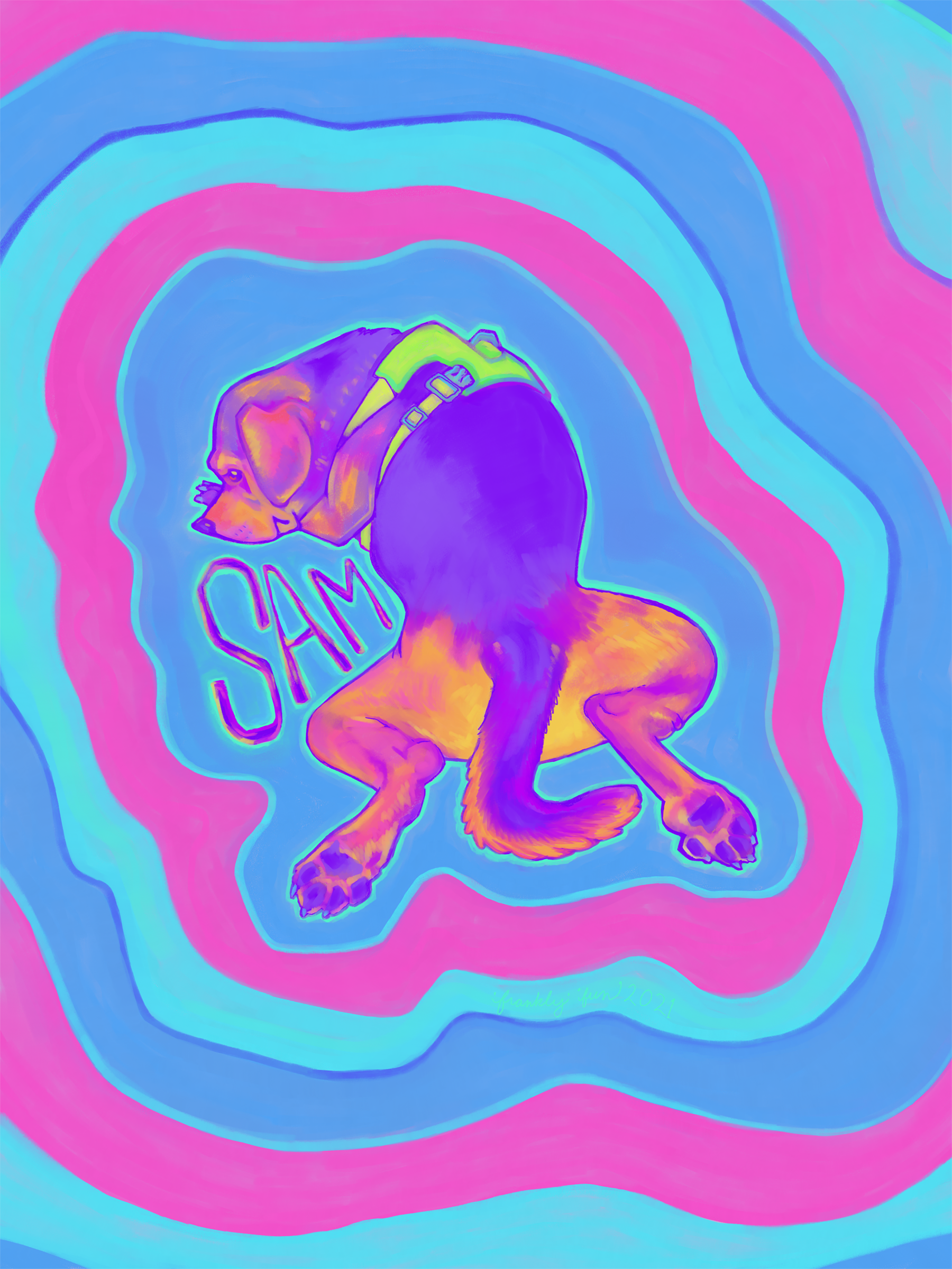 sam_small.png