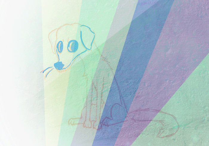 Doodle animation of a shepherd whine