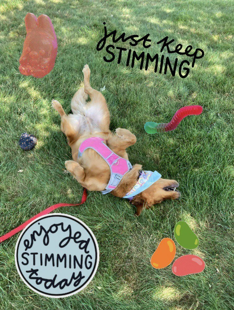 a golden retriever rolls around in the grass. text reads: “just keep stimming!” and “enjoyed stimming today”