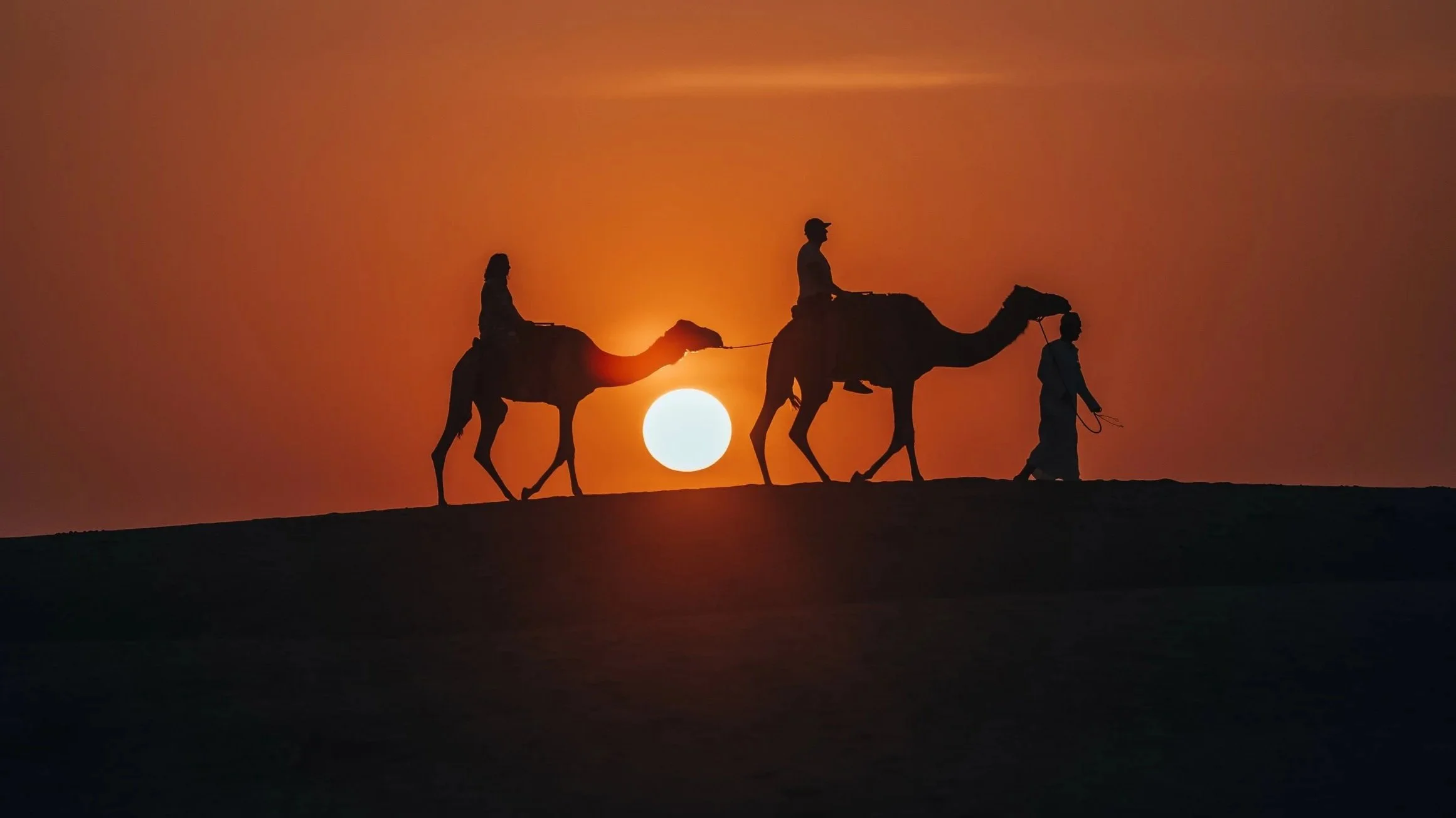 camel ride oman